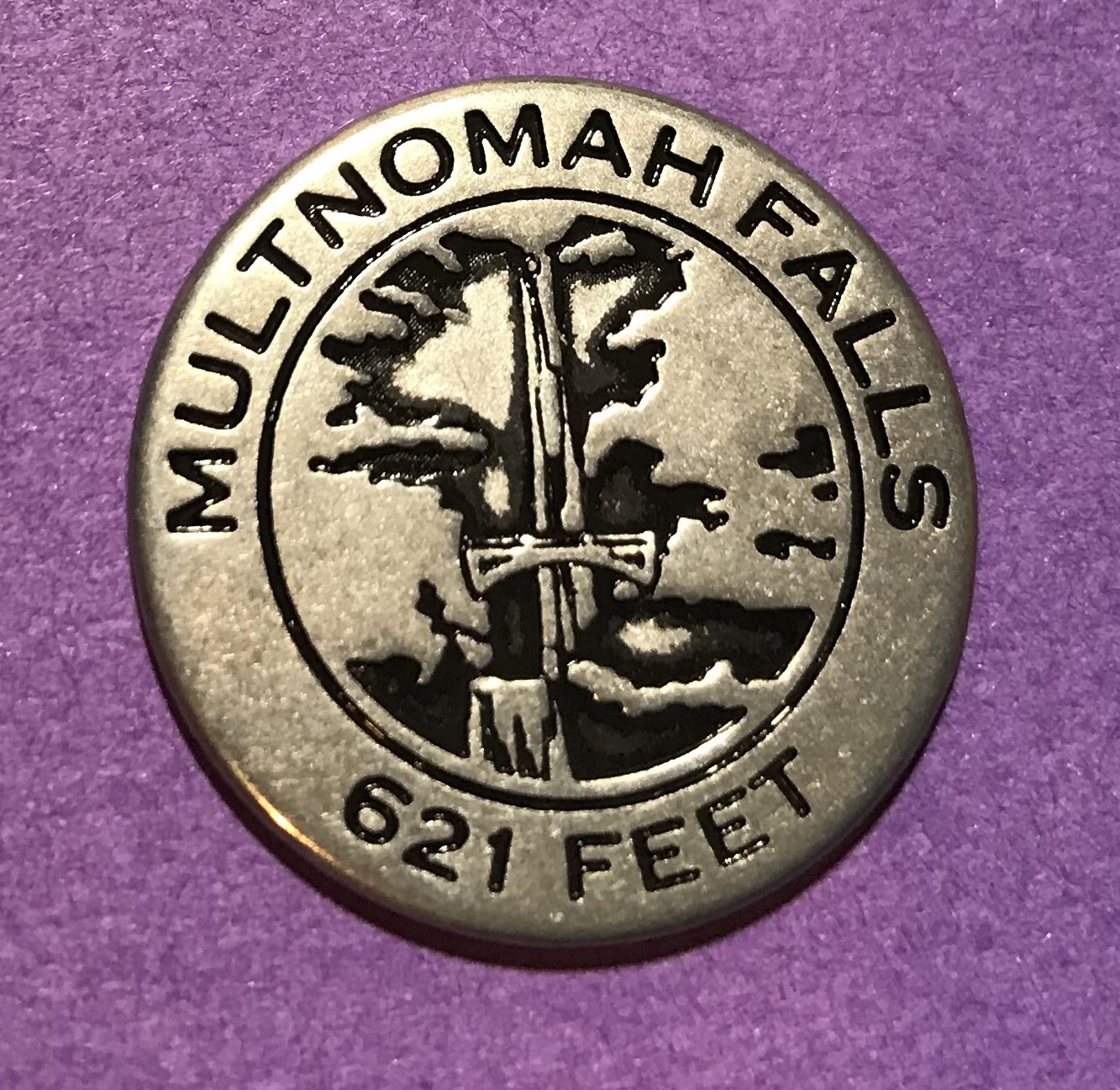 Multnomah Falls Token