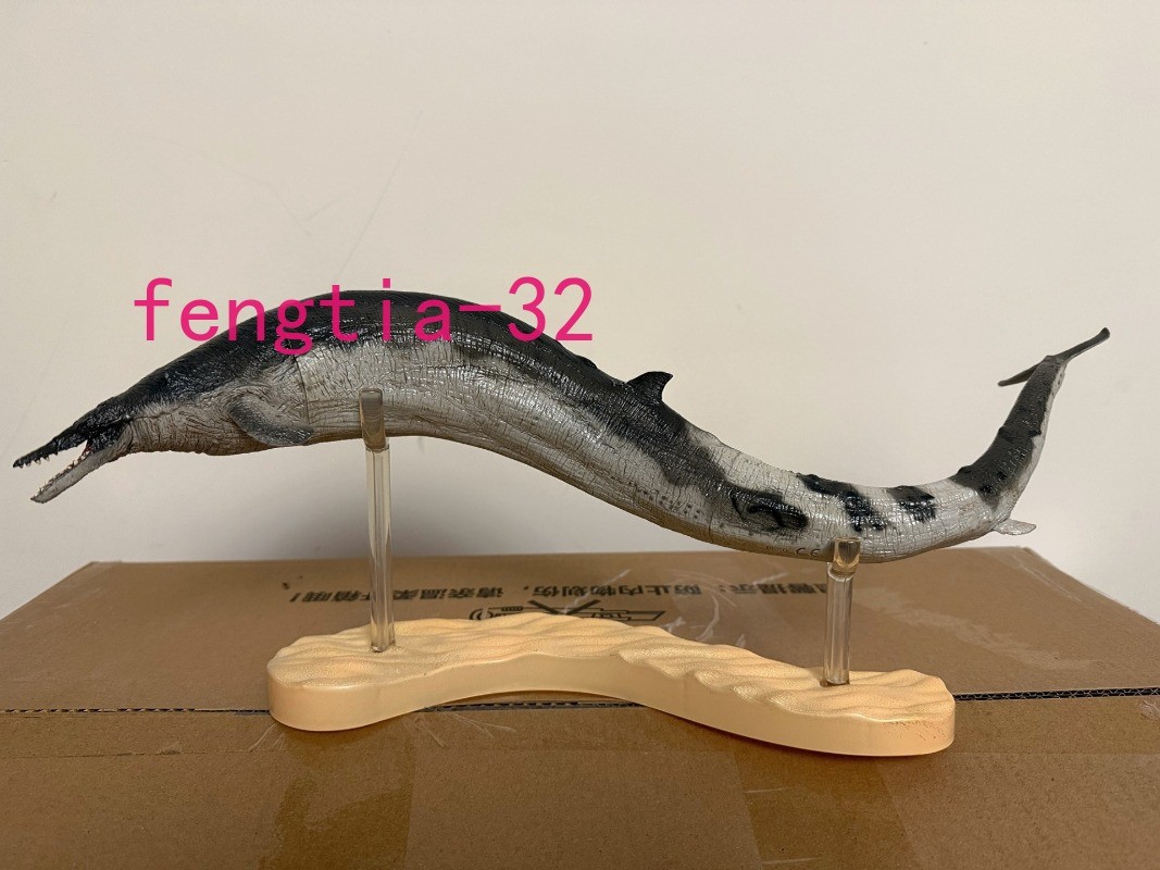 50cm Official PNSO Basilosaurus Prehistoric Marine Mammal Model Toy Gift