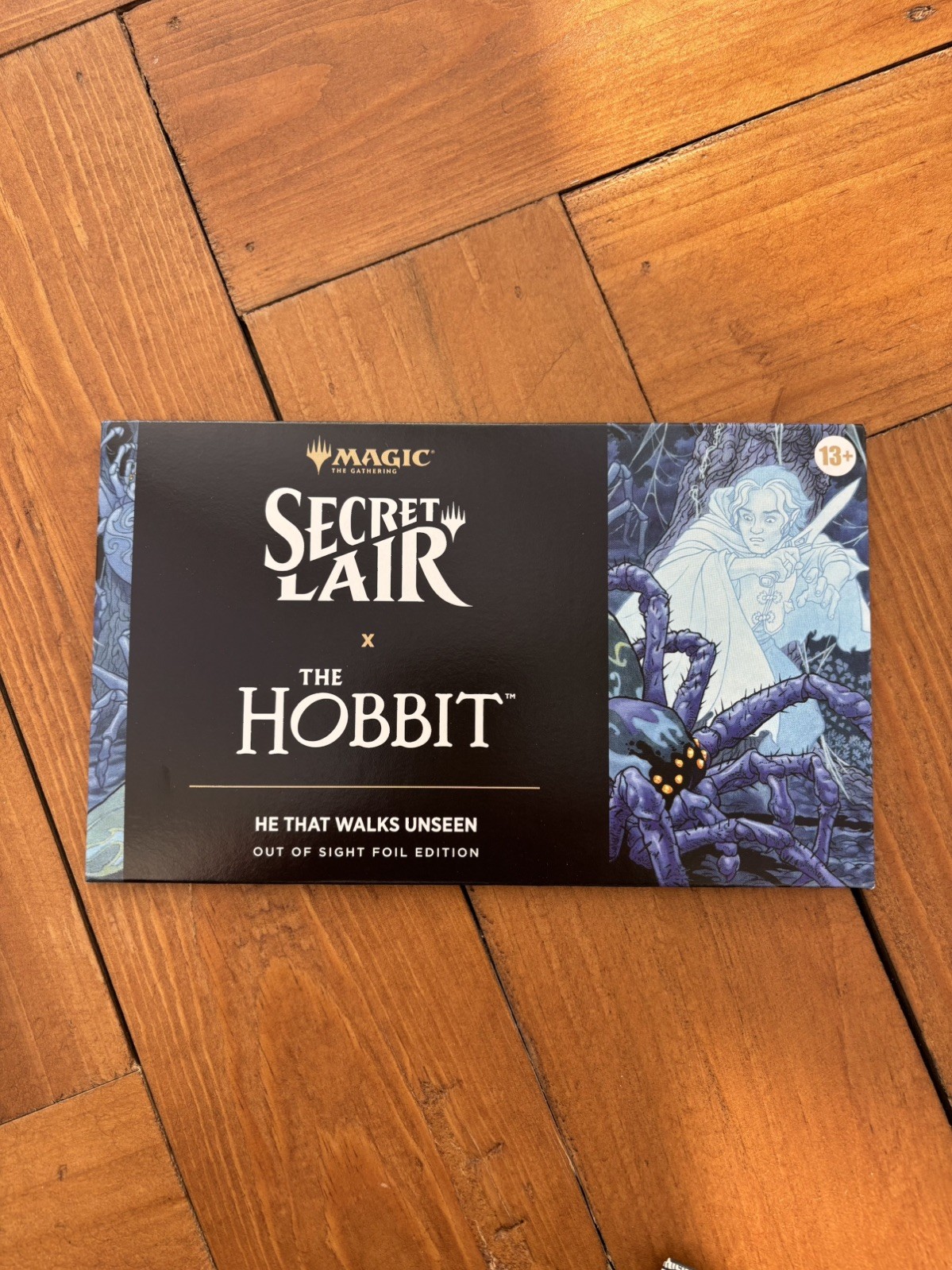 Secret Lair x The Hobbit He Who Walks Unseen Out Of Sight Foil Edition 