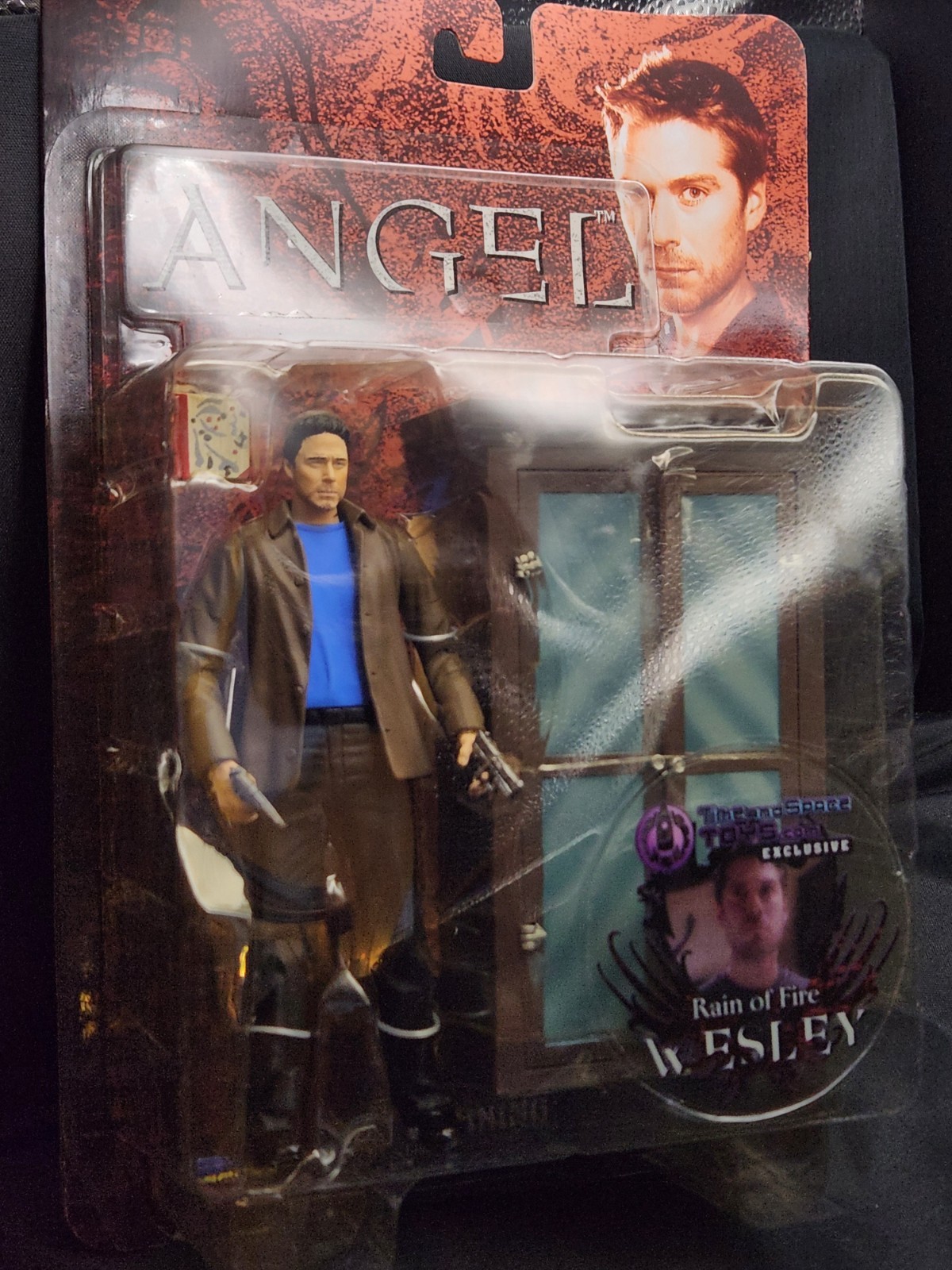 BTVS Time and Space Toys Exclusive Angel Wesley Figure Rain Of Fire 
