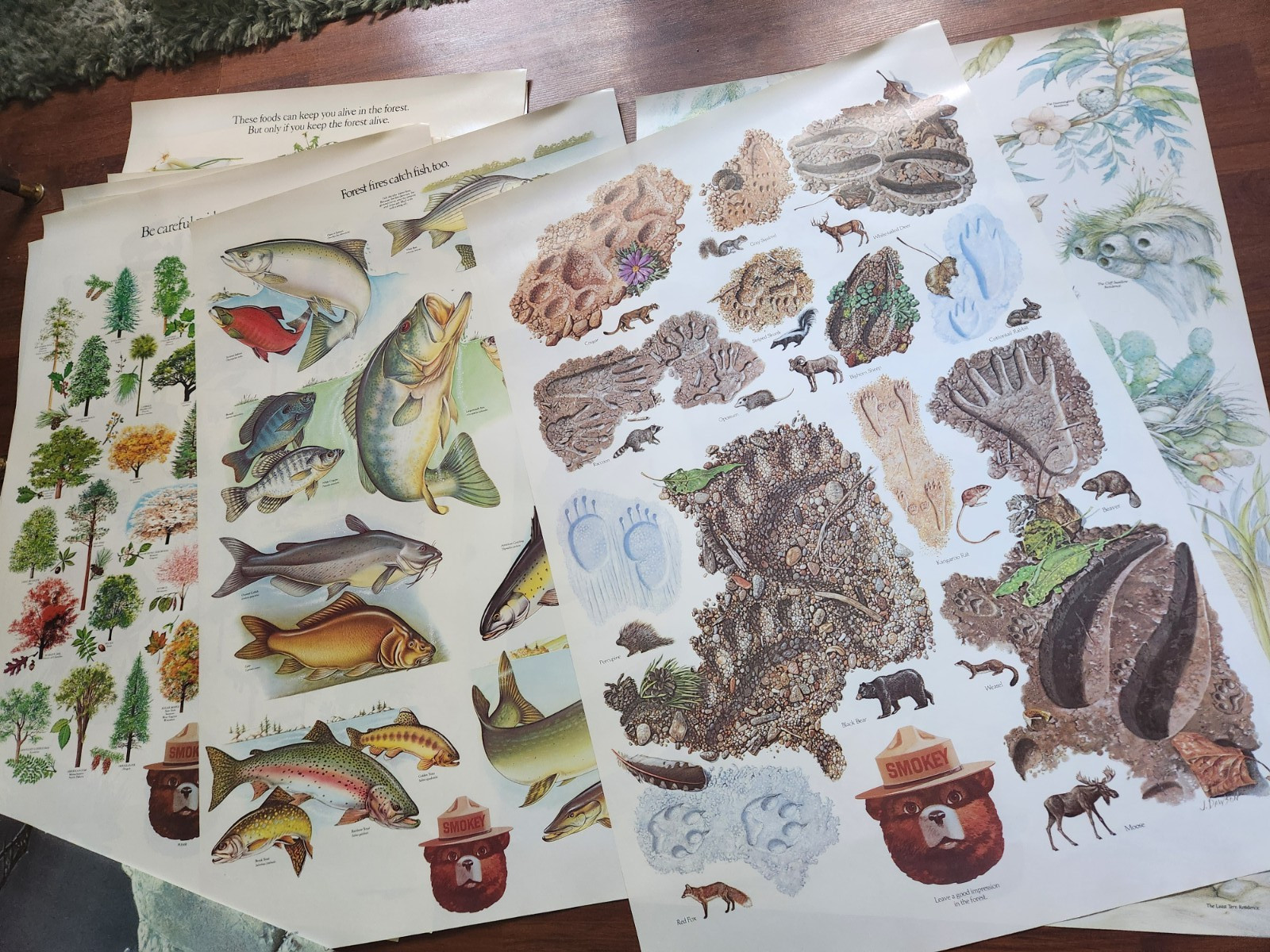 Lot of 14 Vintage Smokey the Bear Educational Posters 1980s US Dept Of Ag 30x20\