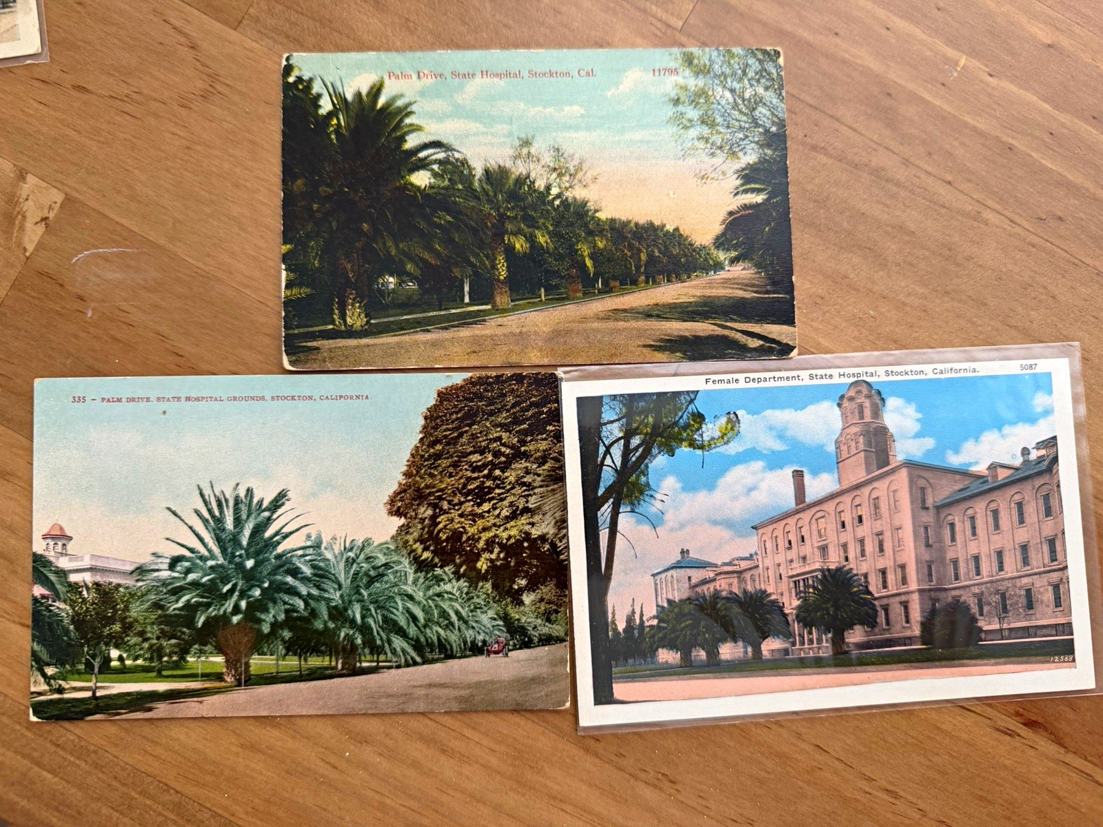 Vintage Stockton State Hospital California Postcard Lot of 3 Palm Drive Female D
