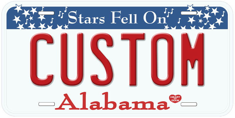 USA State Custom Aluminum Any Name Text Number Novelty Car License Plate