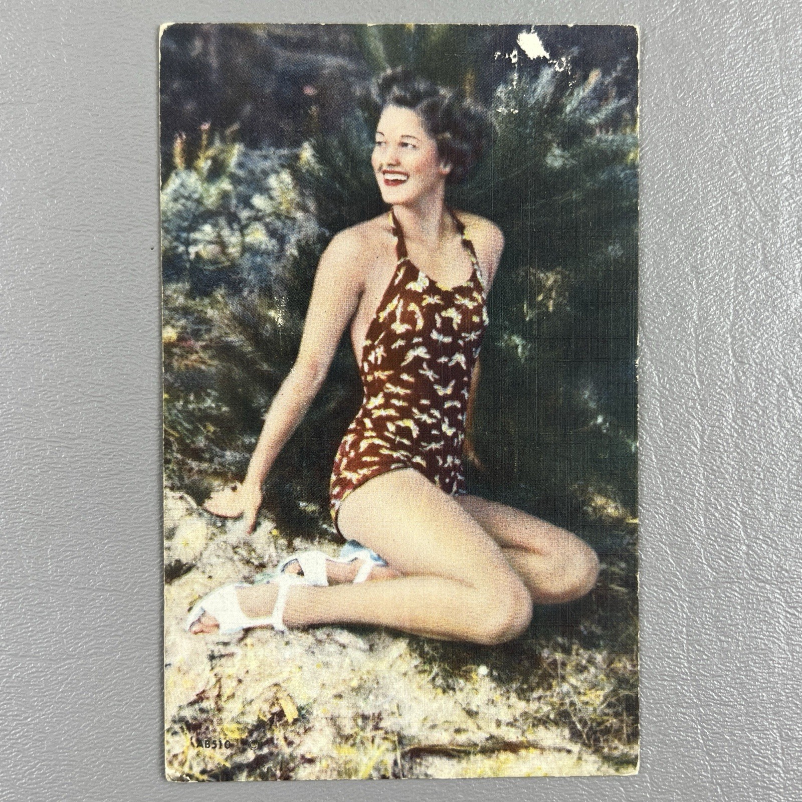 Vintage Litho Postcard Pin-Up Swimsuit Bathing Beauty Woman