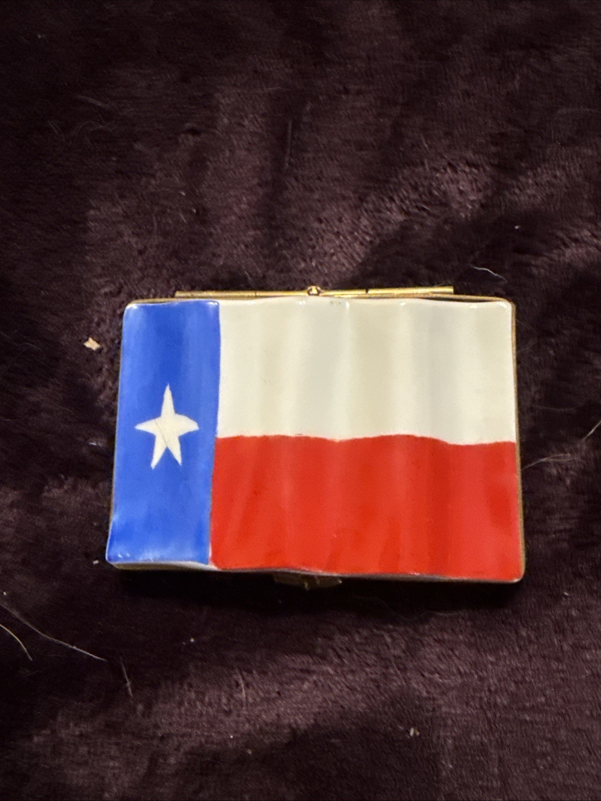 Limoges France Porcelain Lone Star State