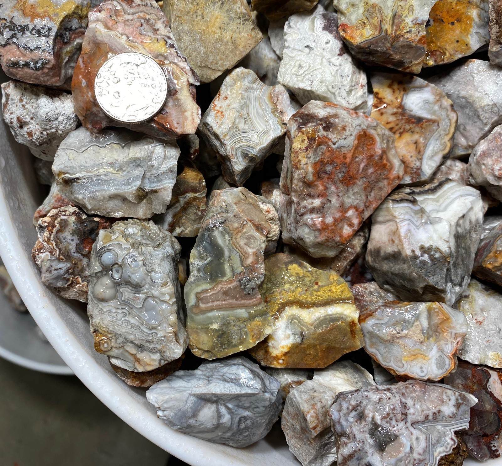 Mexican Crazy Lace Agates - 5lb lot Tumbling 