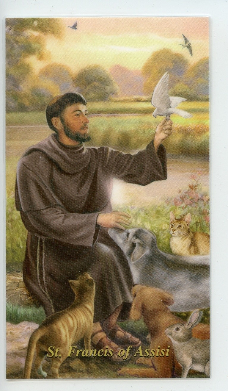 PRAYER FOR LOSS OF PET - ST. FRANCIS - Laminated  Holy Cards.  QUANTITY 25 CARDS