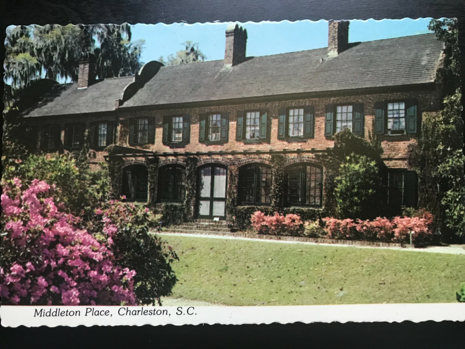 Vintage Postcard 1939 to now Middleton Place Charleston South Carolina (SC) Vintage Postcard 1939 to now Middleton Place Charleston South Carolina (SC)
