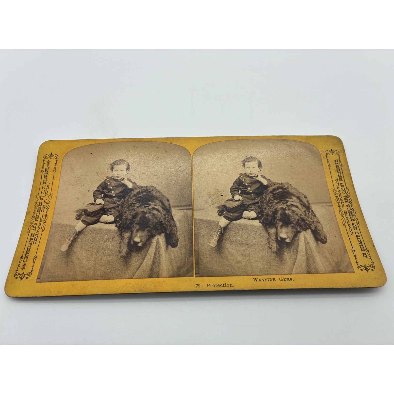 Antique Stereoview H.H. Bennett Wisconsin Scenery 79 Protection Child Large Dog Antique Stereoview H.H. Bennett Wisconsin Scenery 79 Protection Child Large Dog