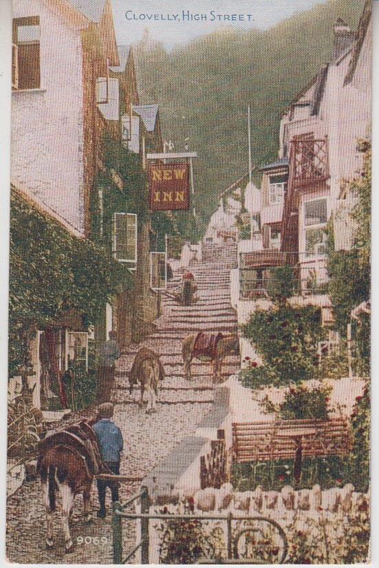 Clovelly High Street Looking Up. New Inn. Jackasses. Devon Celesque Series