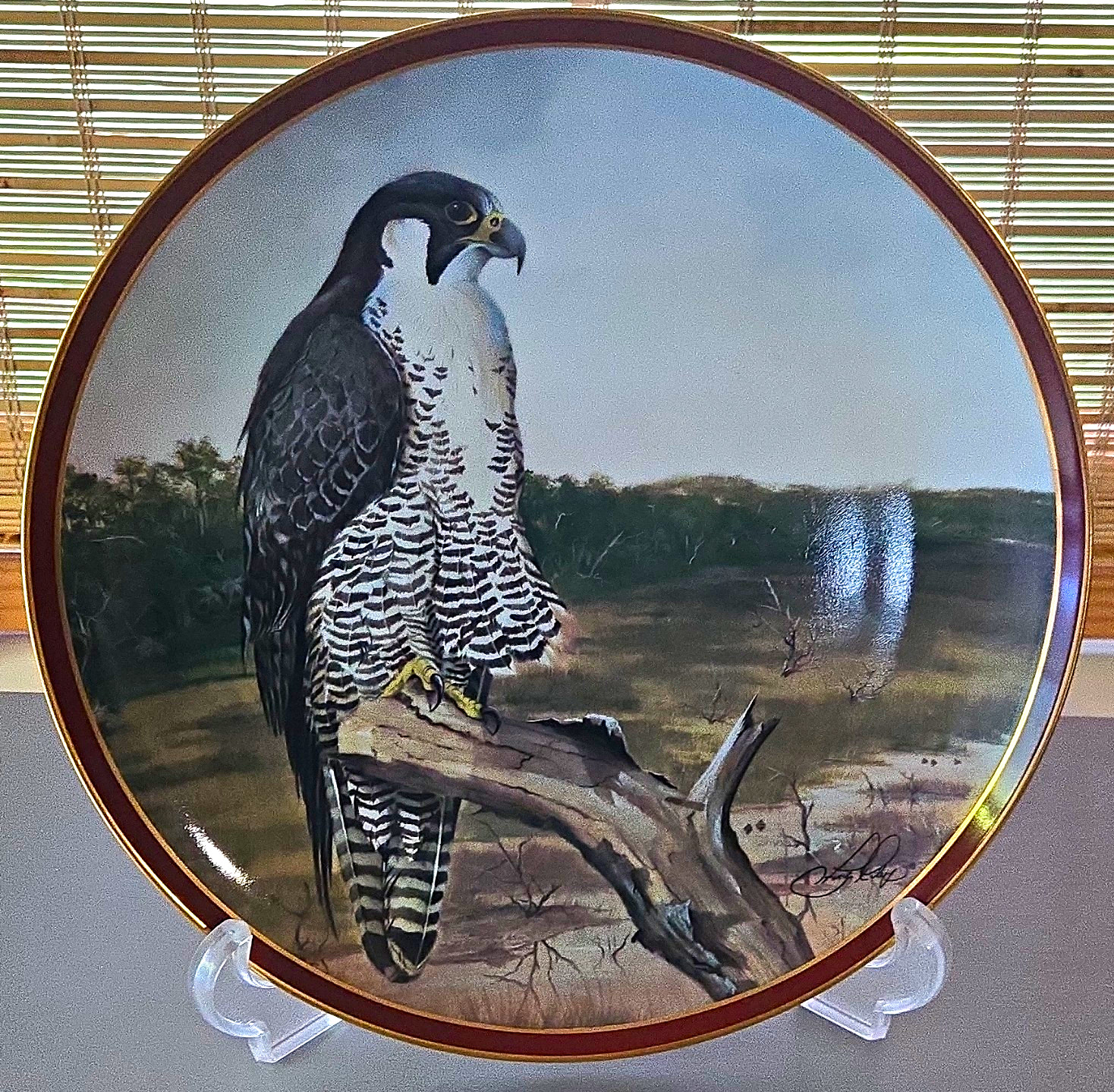 The Hamilton Collection Peregrine Falcon Majestic Birds of Prey Porcelain Plate The Hamilton Collection Peregrine Falcon Majestic Birds of Prey Porcelain Plate