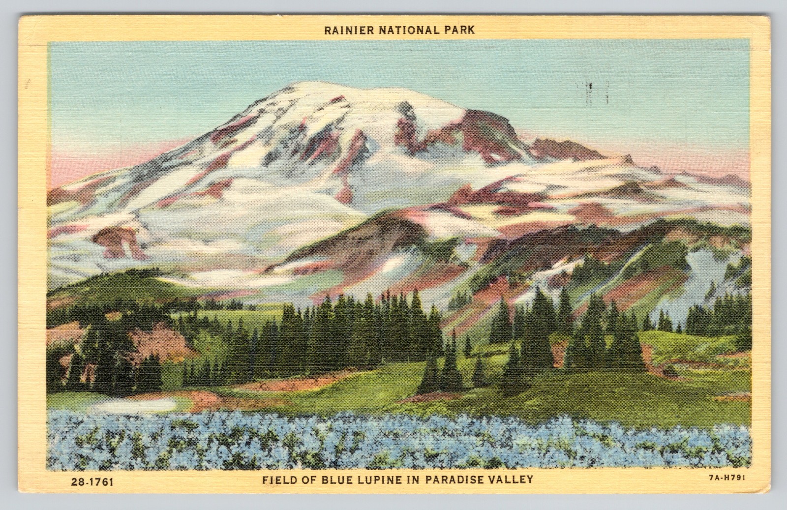 Postcard Mt Rainier National Park Mountain Washington 1949 Posted Linen