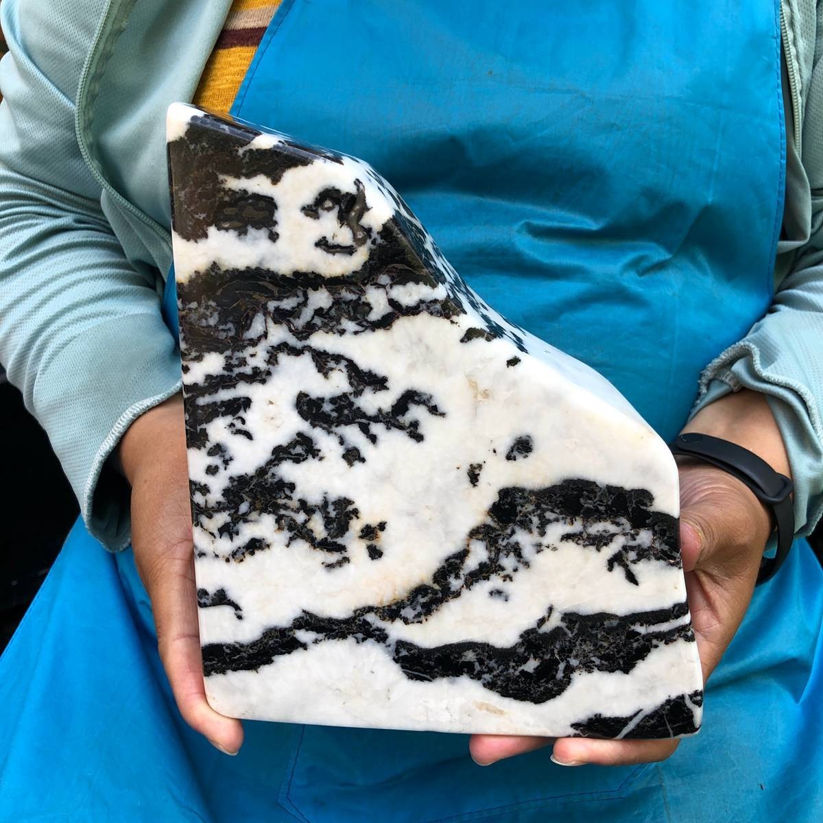 8.27LB Top Natural zebra stone crystal Reiki mineral specimen healing 2198 8.27LB Top Natural zebra stone crystal Reiki mineral specimen healing 2198
