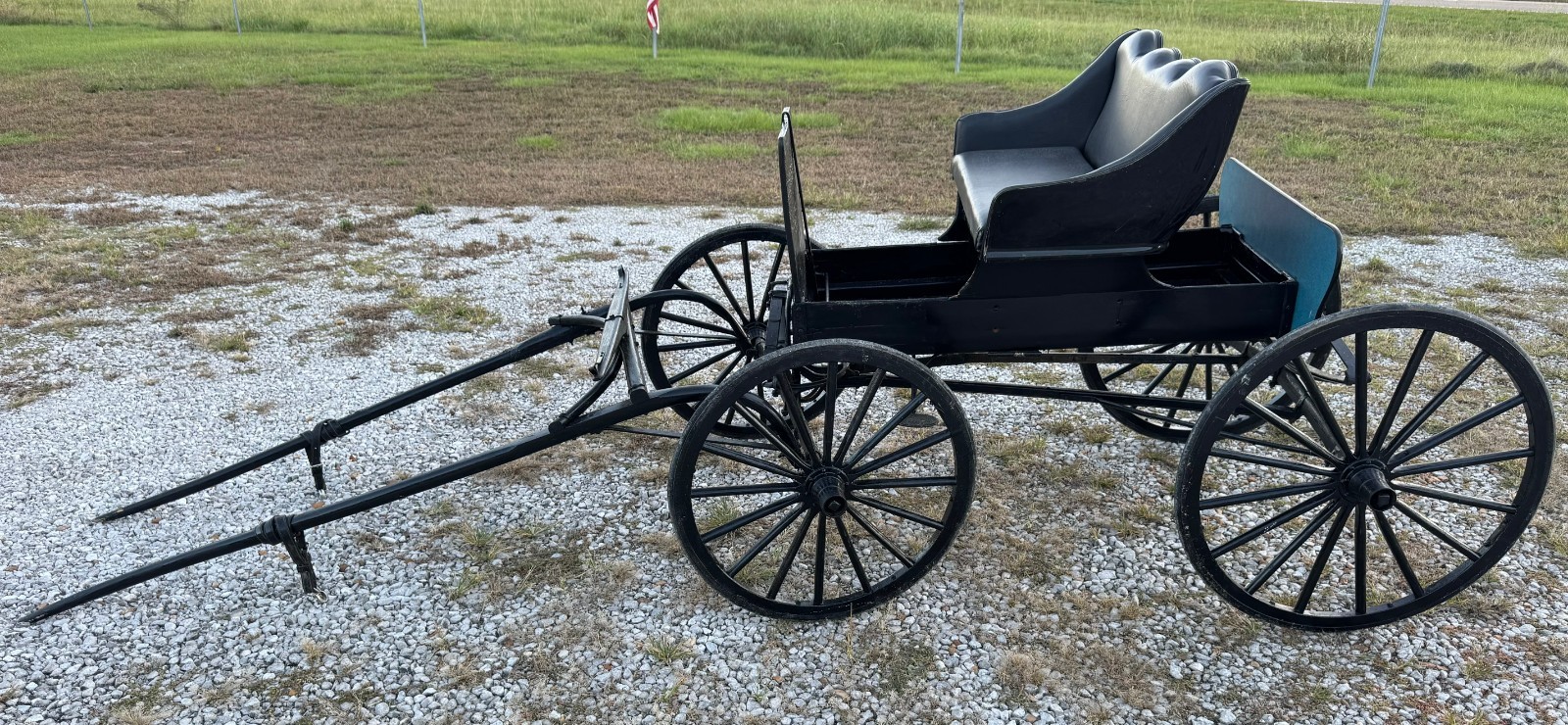Amish Horse Drawn Carriage/Buggy 