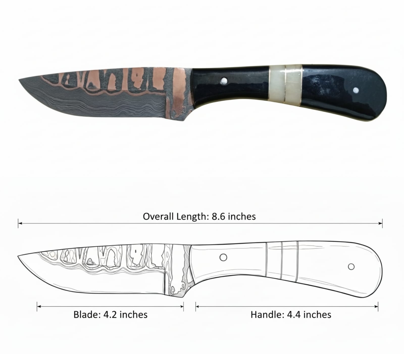 8.6\