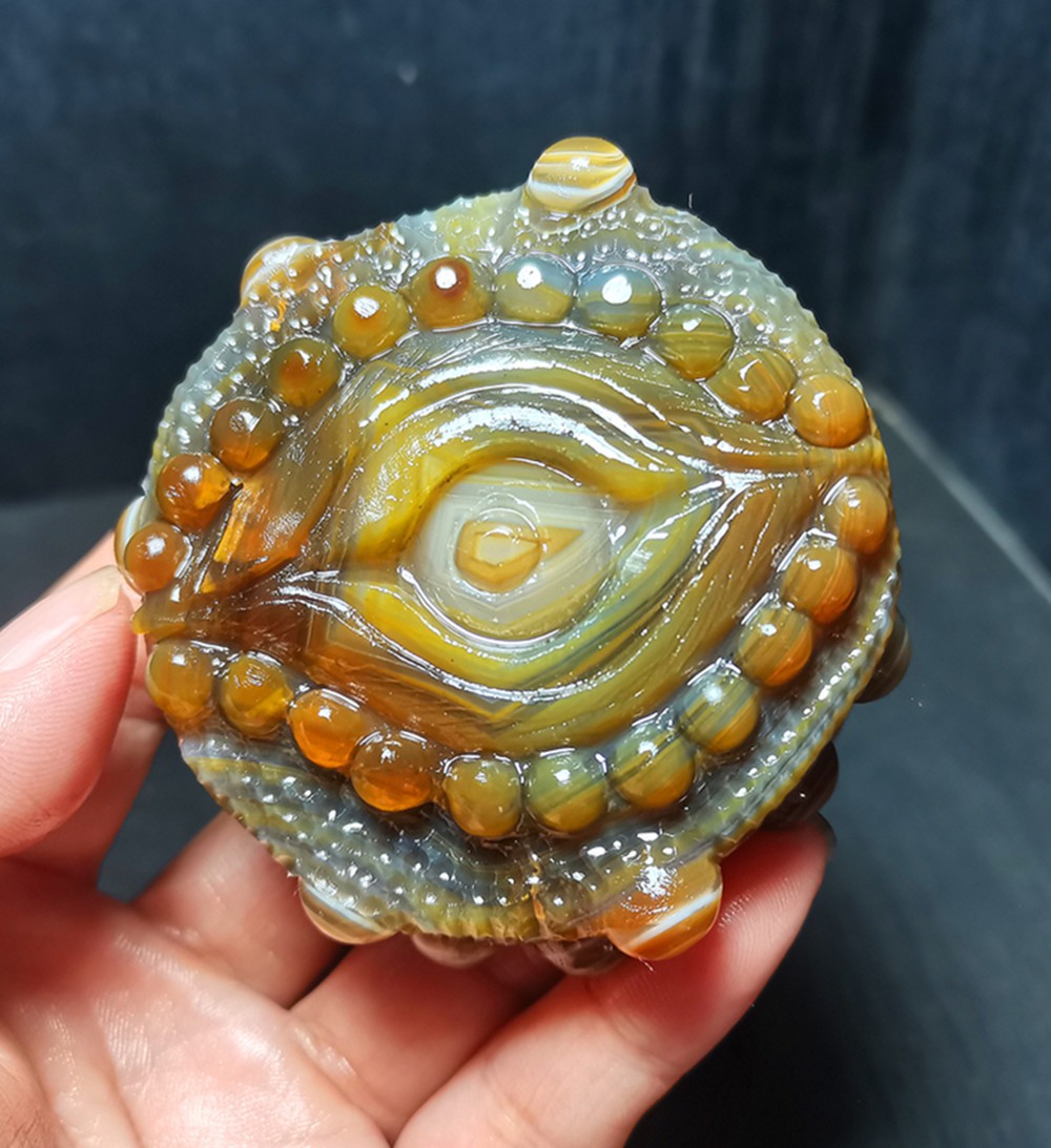 RARE 226G Natural Inner Mongolia Gobi Eye Agate Eye Stone Series WYY3631