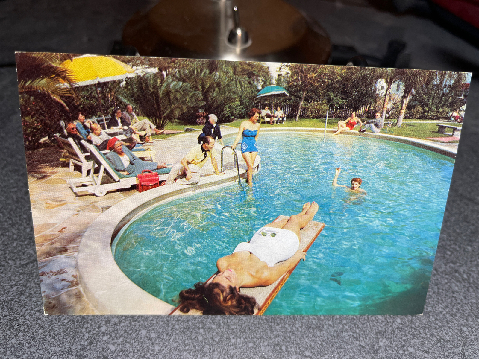 Sarasota Terrace, Hotel Sarasota Florida Postcard￼