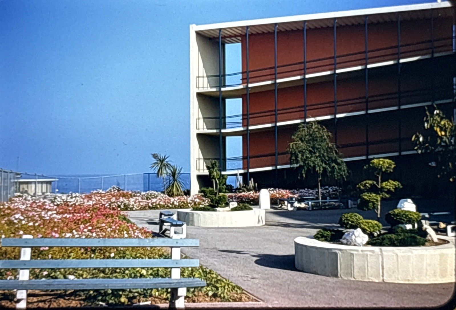 Orig 1956 Slide Marineland of the Pacific Palos Verdes CA Oceanarium H26