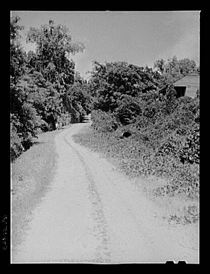 Photo:Melrose Louisiana John Henry Cotton Plantation Road 1940s FSA