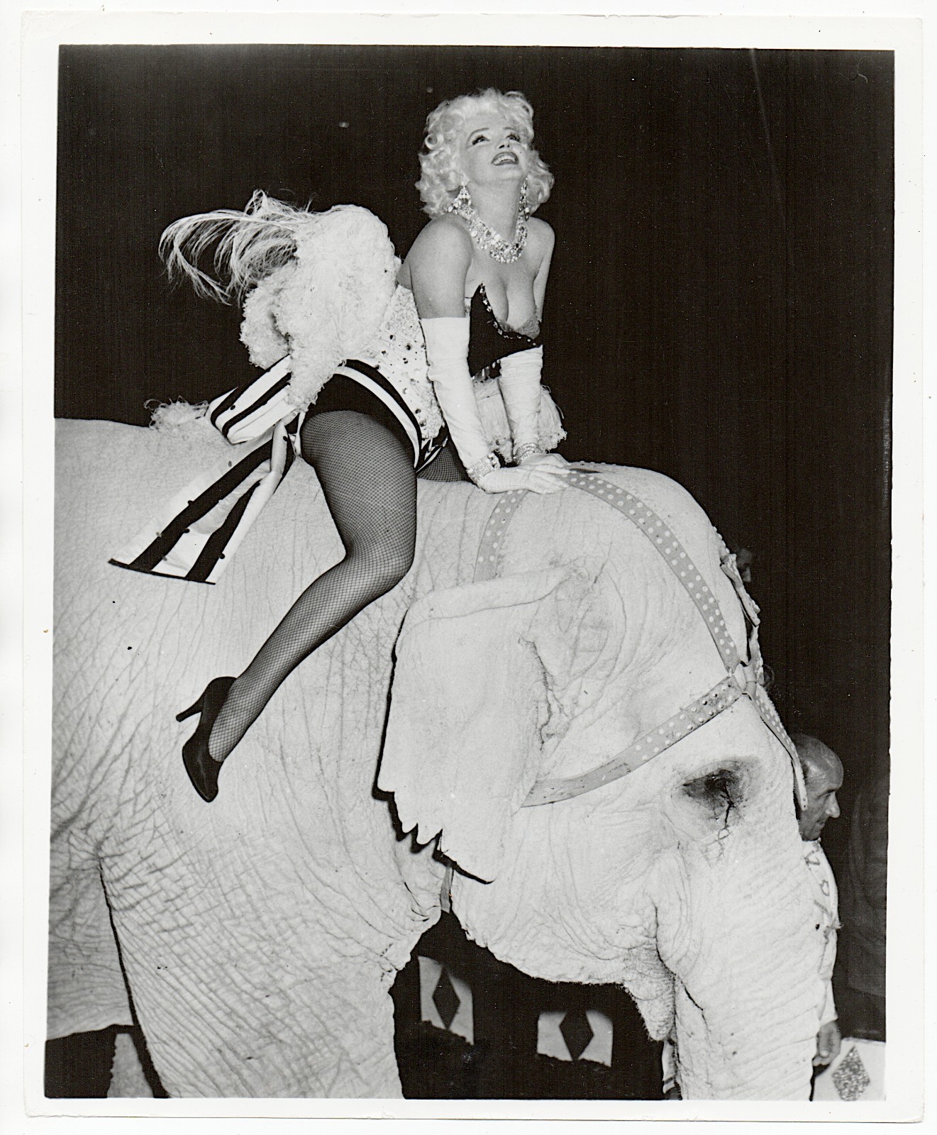 Marilyn Monroe 1955 Madison Square Garden Circus Elephant Rare Photofest Photo