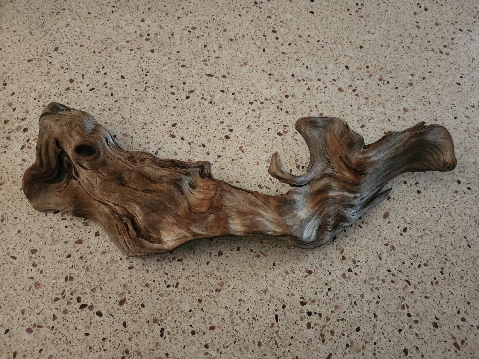 natural scavenged Driftwood Art 14\
