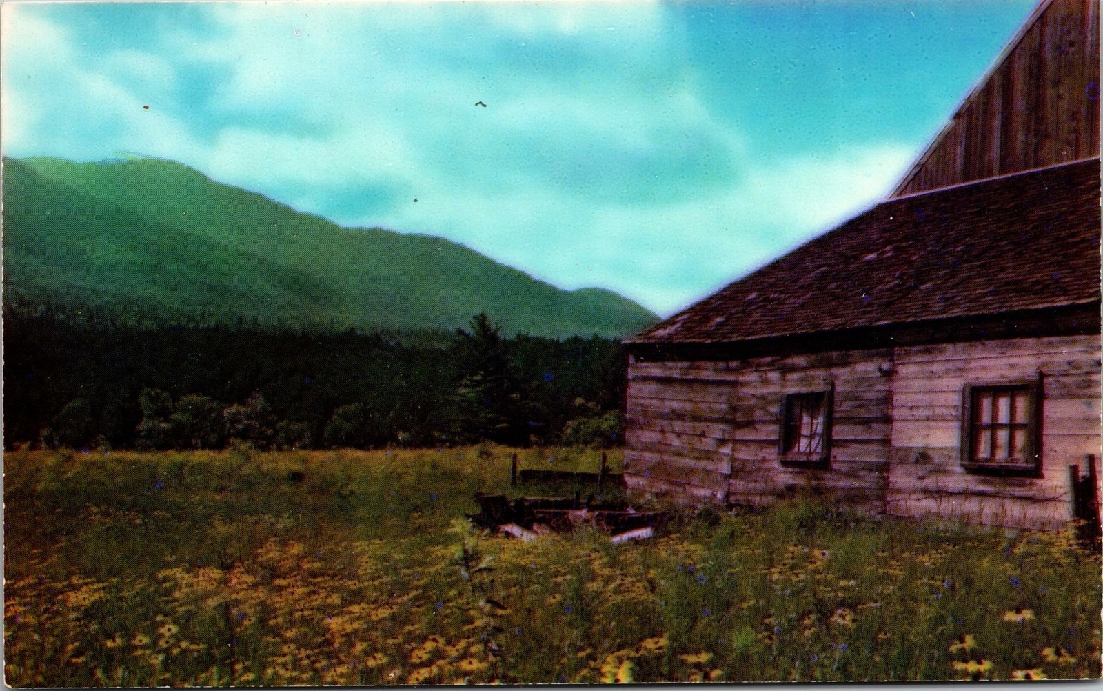 Franconia Valley Scene NH Postcard unused 1950s