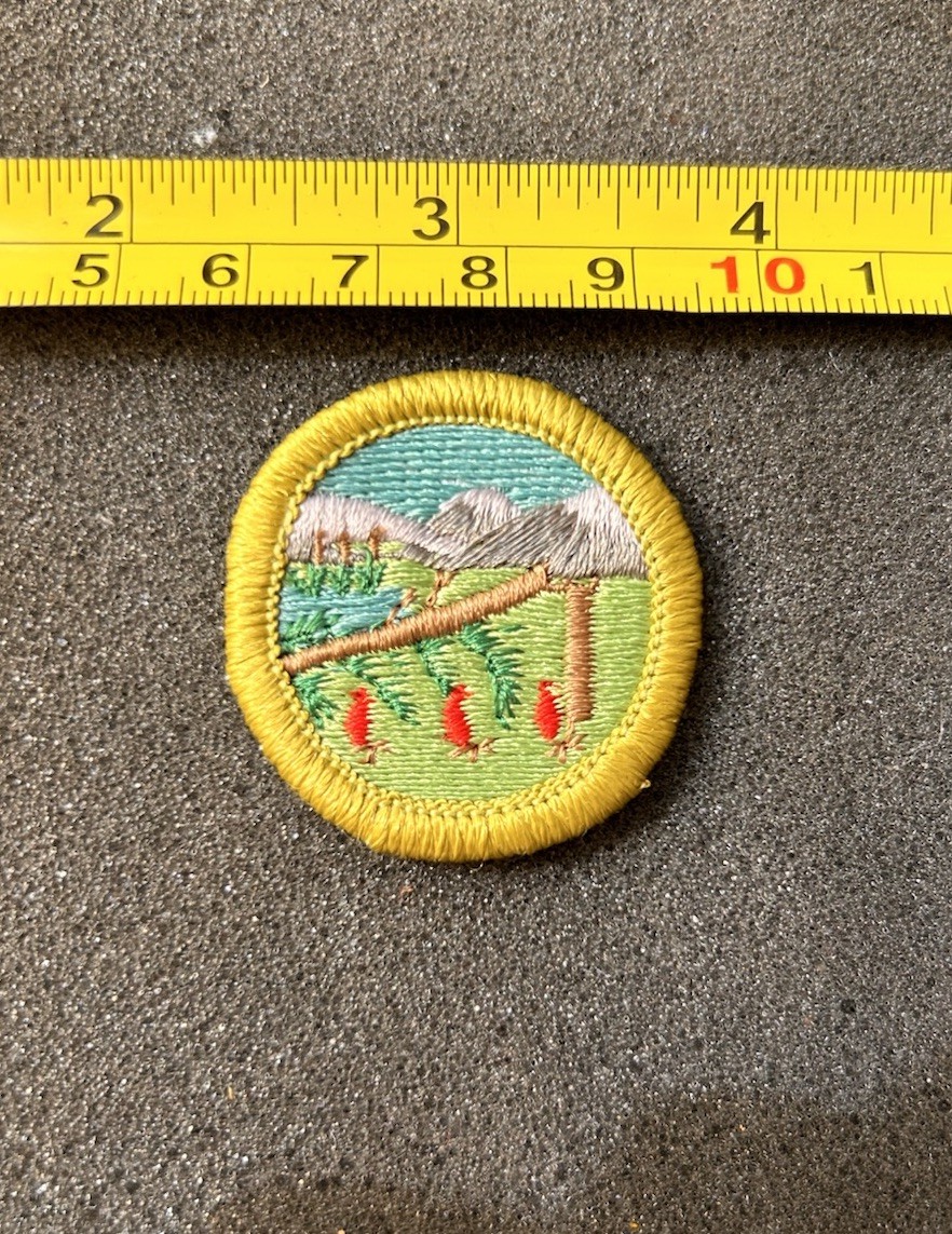 Vintage Boy Scouts Of America Wilderness Survival Merit Badge NOS Patch