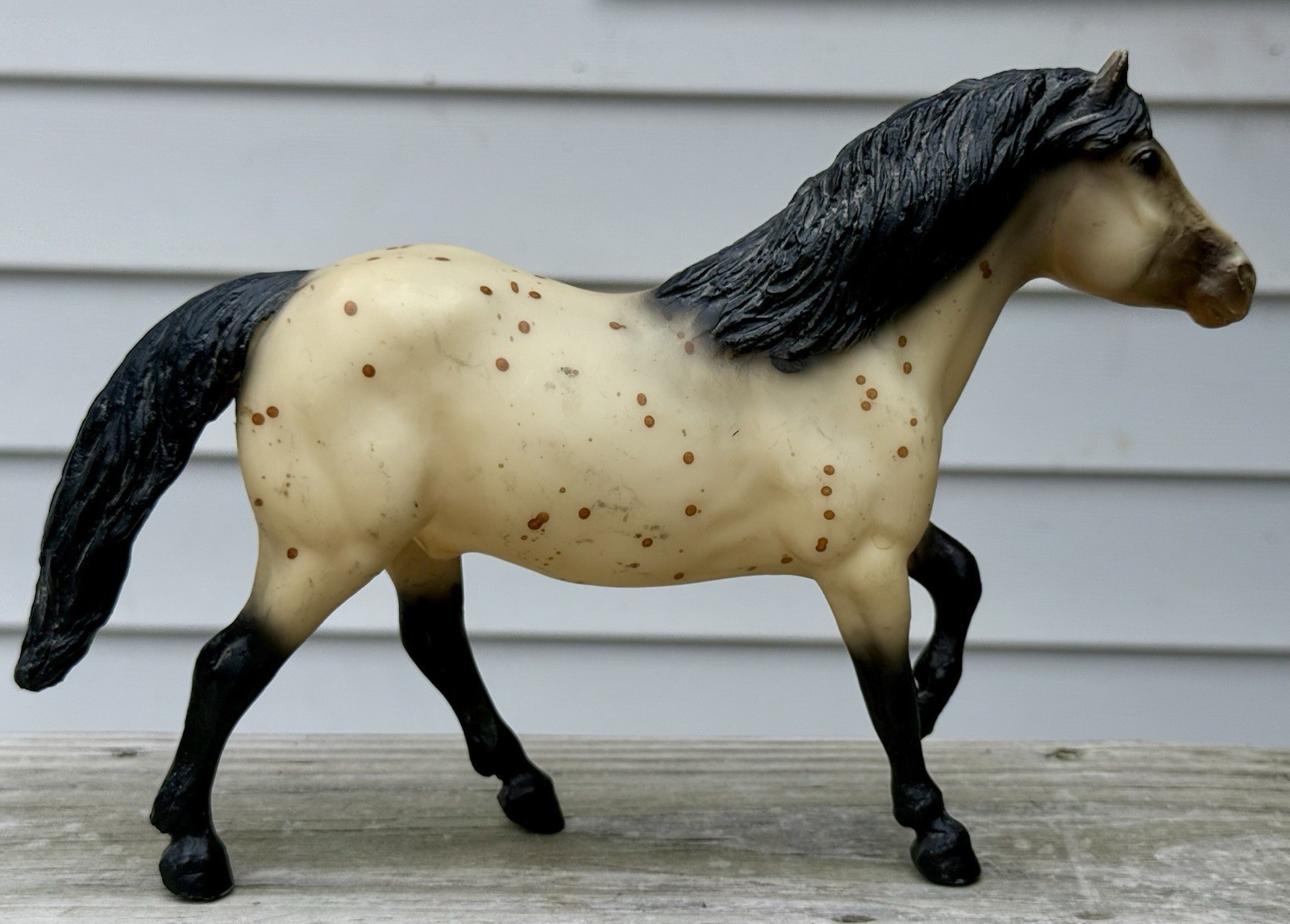 Breyer #883 Scat Cat Appaloosa Pony Haflinger Mold, 1993-94 🛑 BODY QUALITY 😢