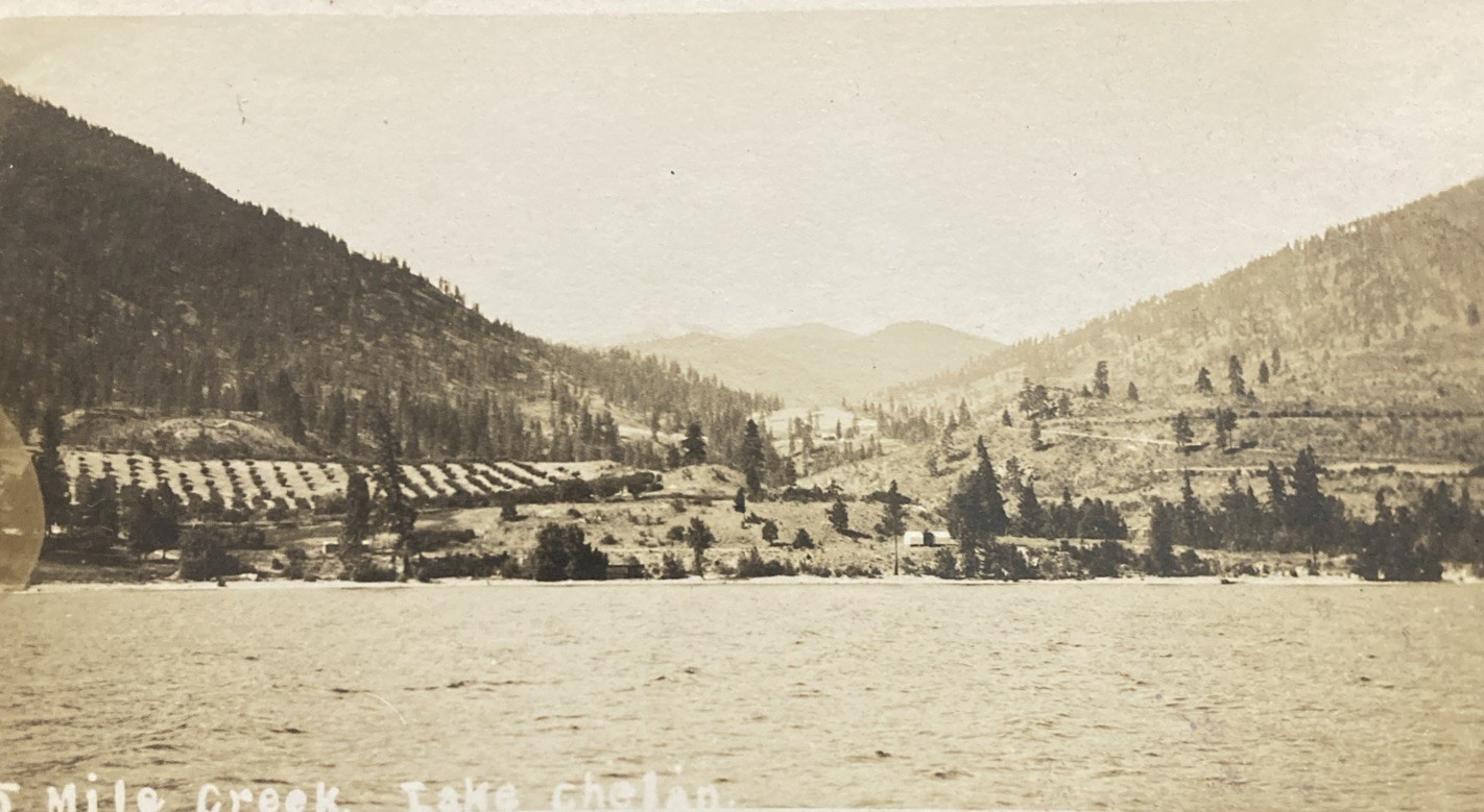c1910 Lake Chalen 25 Mile Creek View Washington RPPC Postcard c1910 Lake Chalen 25 Mile Creek View Washington RPPC Postcard