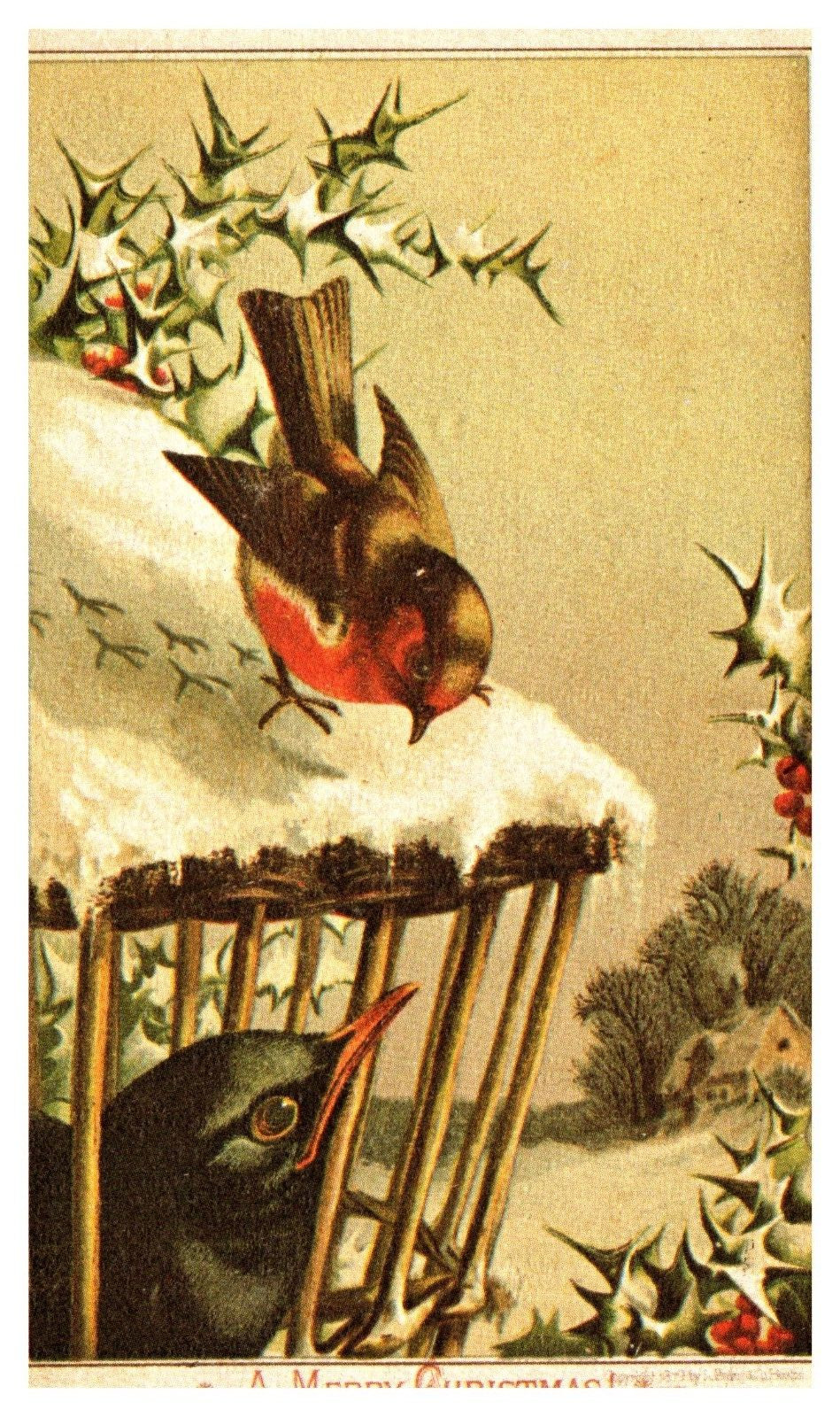 postcard A Chilly Christmas with birds-reproduction from antique card A2294
