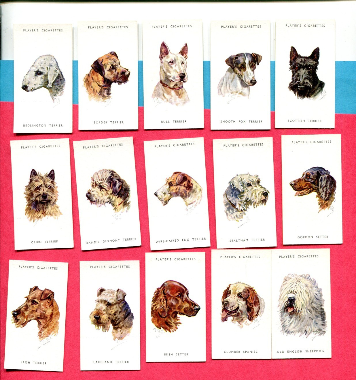 1940 JOHN PLAYER & SONS DOGS' HEADS 15 DIFFERENT TOBACCO CARD LOT