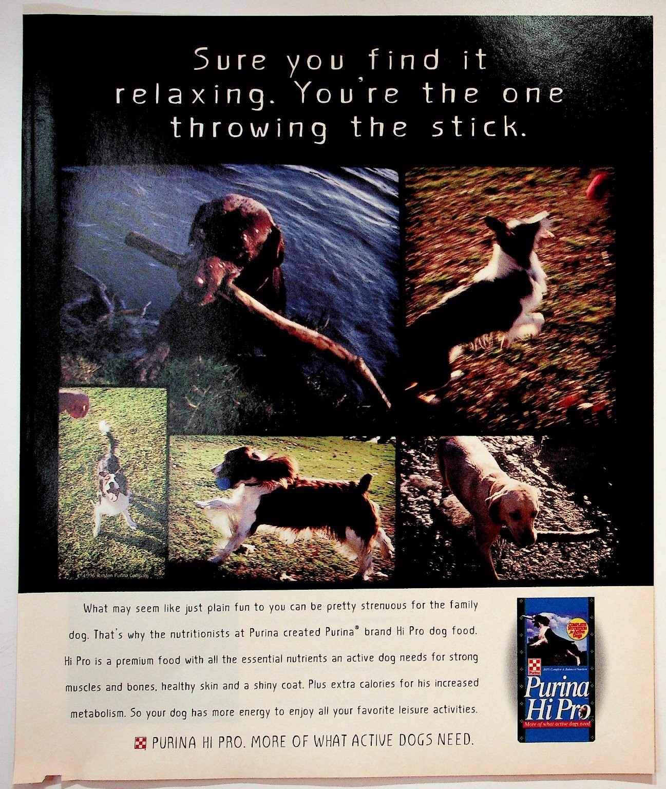 Purina Hi Pro 1996 Original Print Advertisement 9x11 Dog Food Purina Hi Pro 1996 Original Print Advertisement 9x11 Dog Food