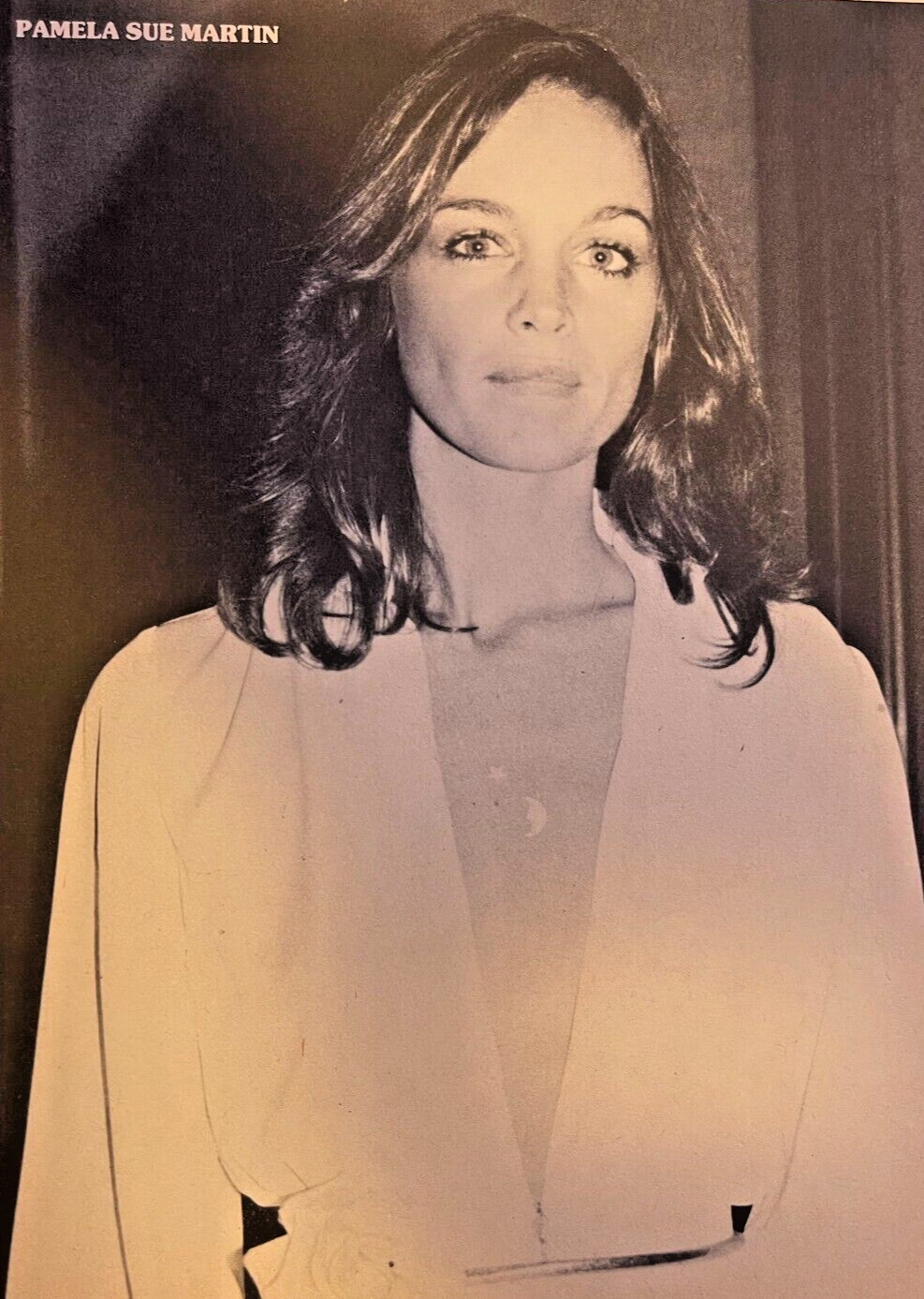1980s Vintage Magazine Illustration Actress Pamela Sue Martin