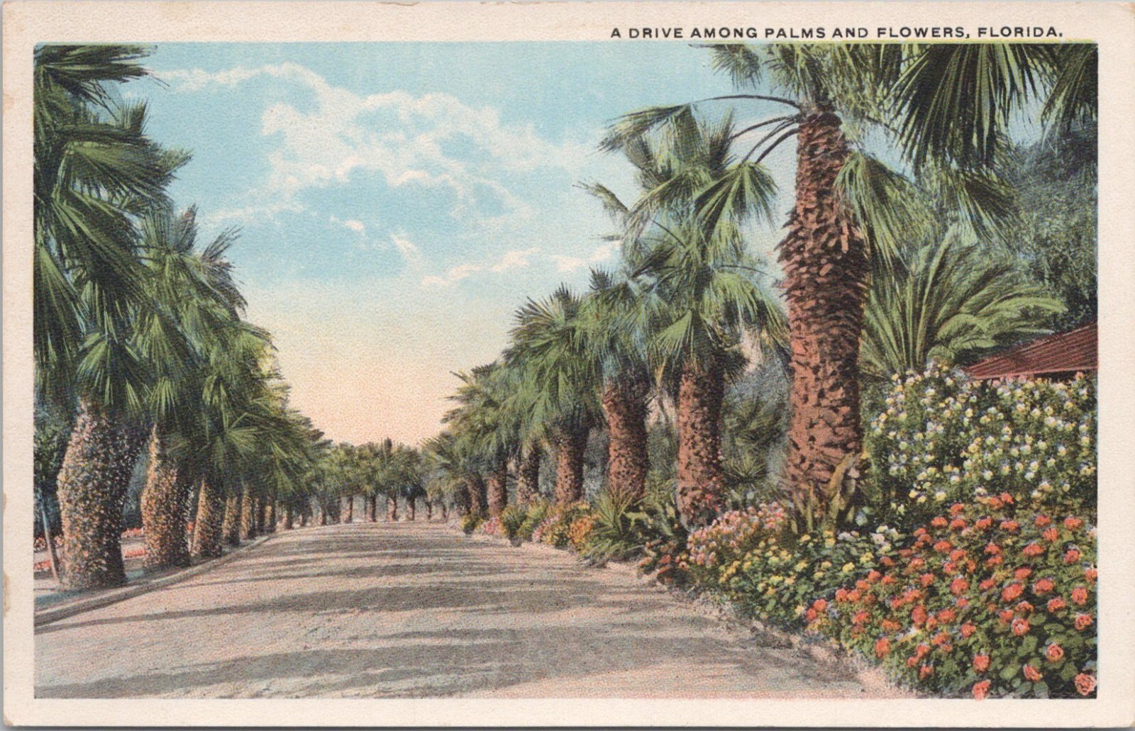 Lithograph ** Florida Scene \ Lithograph ** Florida Scene \