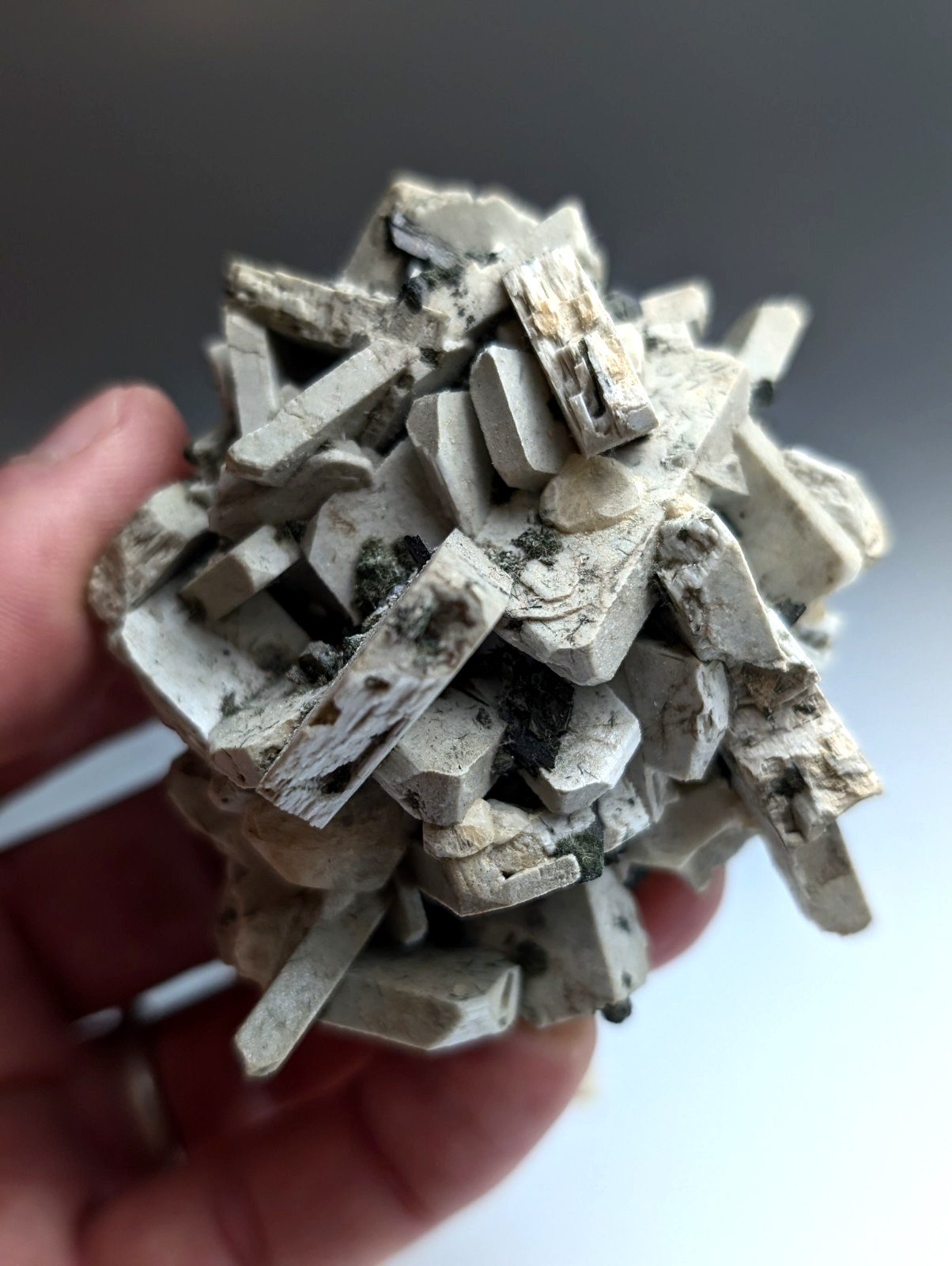 Albite, Biotite, Aegerine, Analcime, 3M Quarry, Little Rock, Arkansas, Delinde