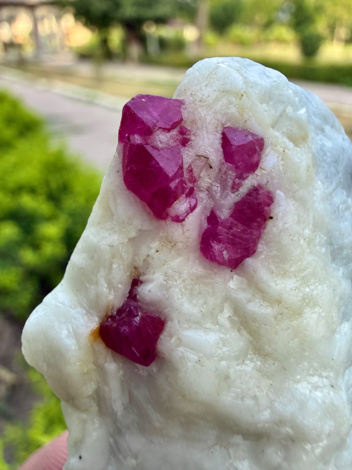 Natural Beautiful Top Quality Ruby with Combine Albit Specimen 210 Carats