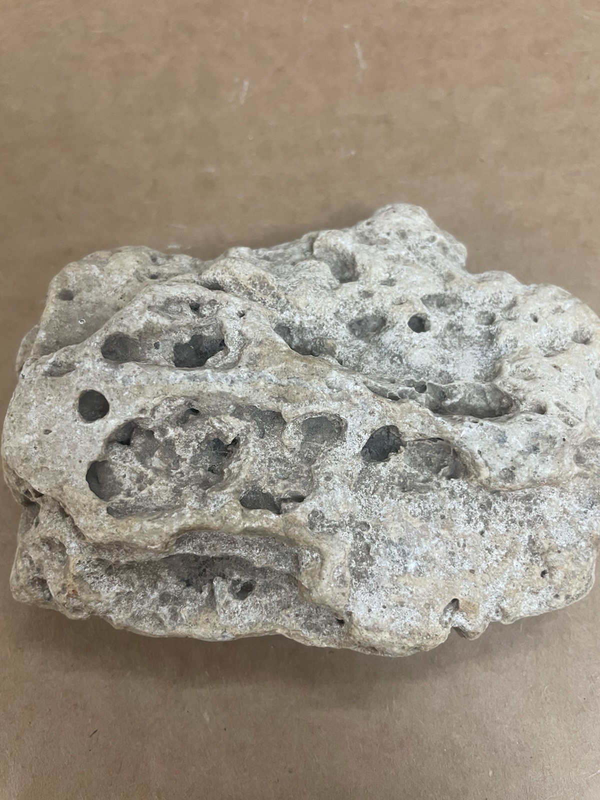 Rare Rock Meteor River Fossil Moon  Ice Age Glacier Texas