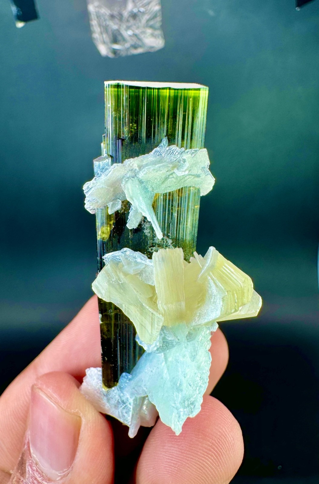 Natural Green Cap Tourmaline Crystal With Albite Specimen 180 CTS @ Minerals