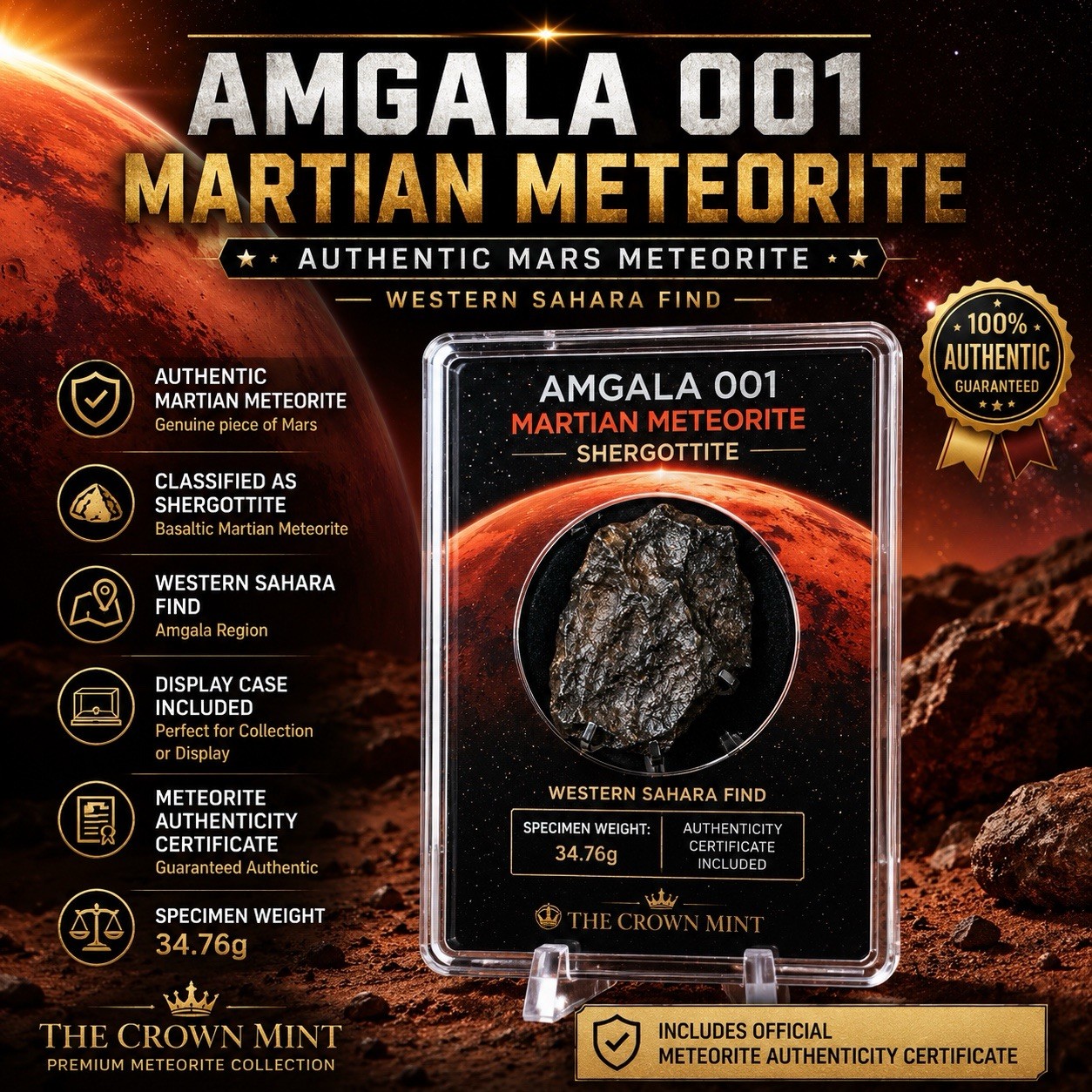 Amgala 001 Martian Meteorite 1.86g Shergottite w/ COA & Display Case