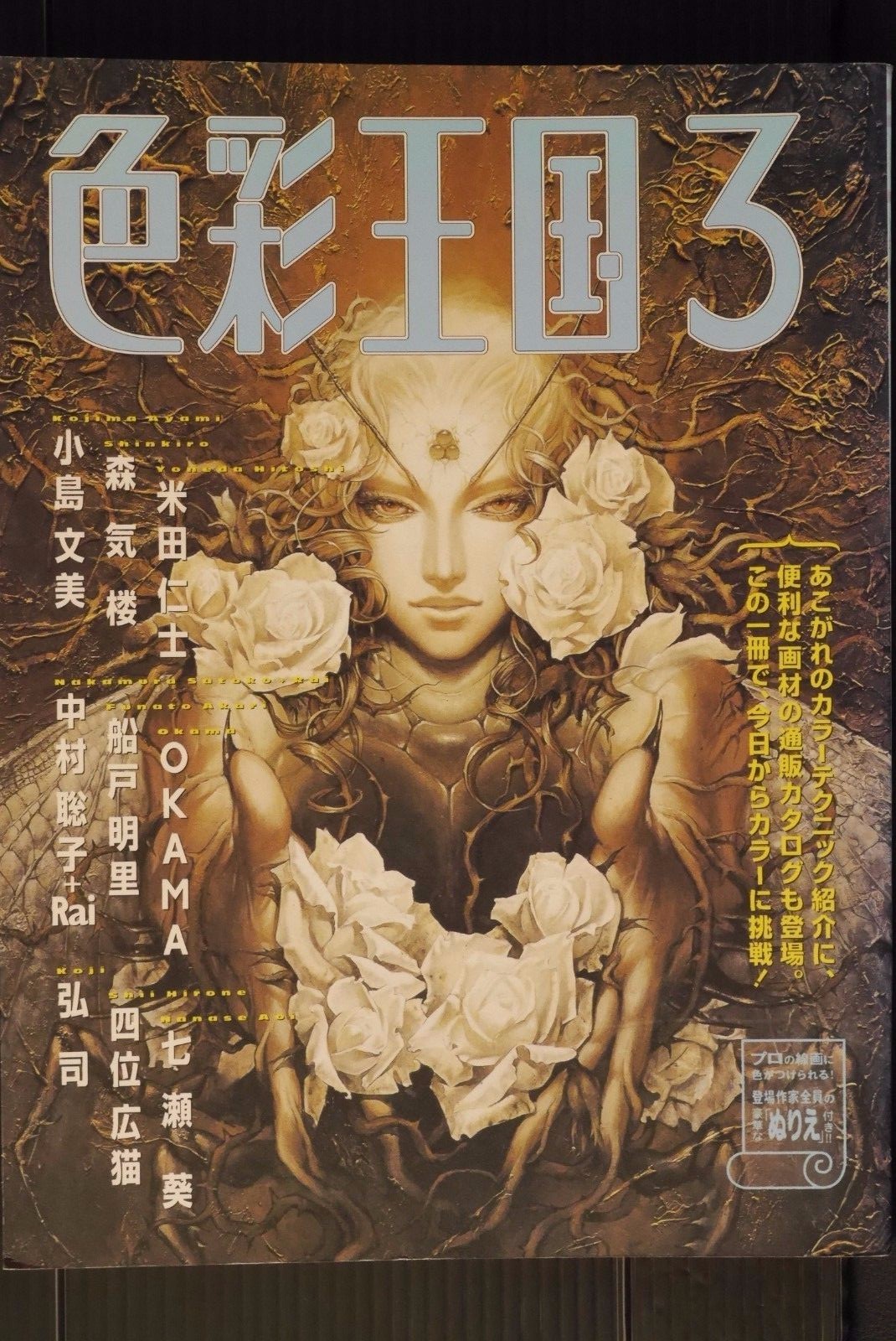 Shikisai Oukoku Vol.3 How to Draw Illustration Book Ayami Kojima Japanese