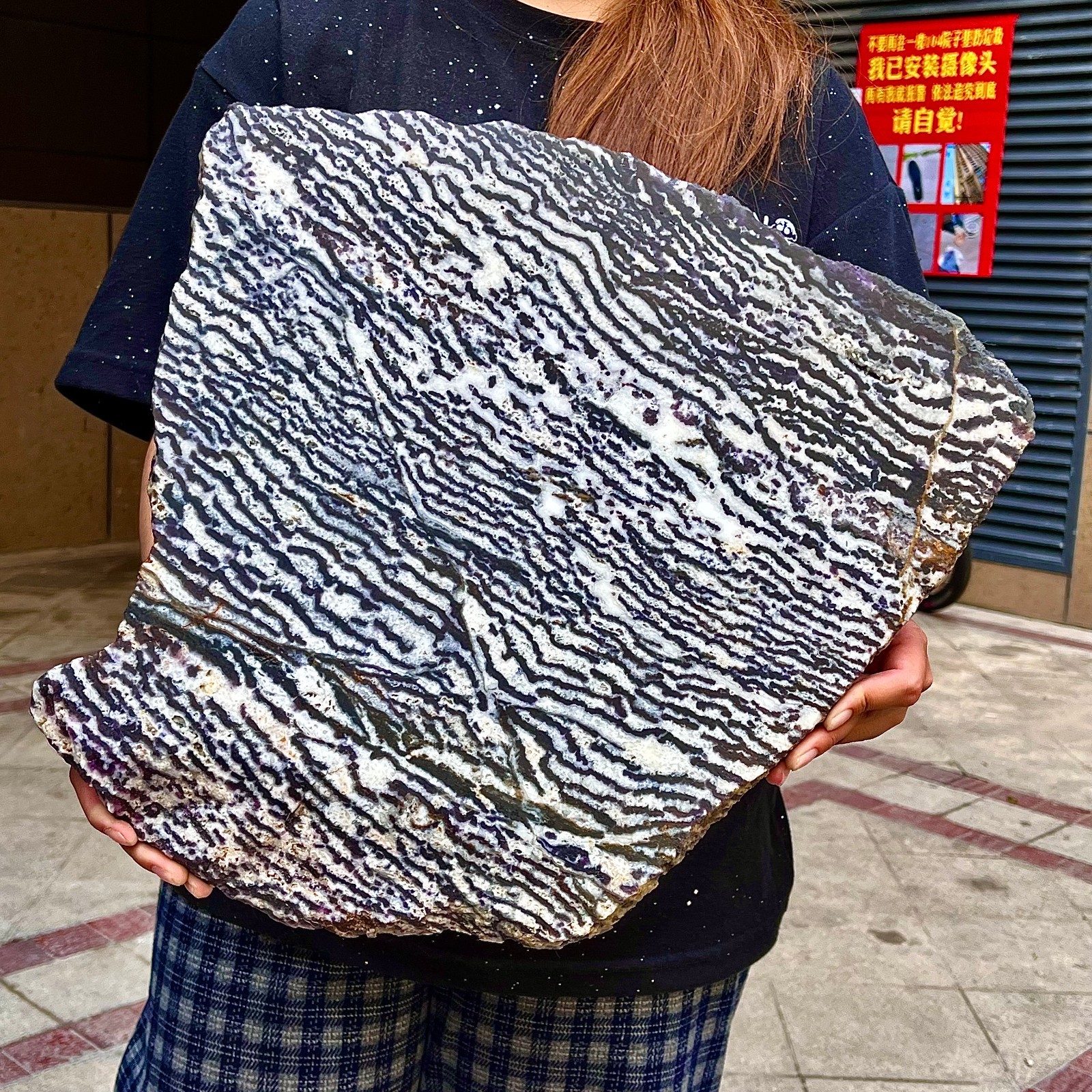 10.62LB  Beautiful Zebra Rock - Unique Purple and White Striped Gemstone