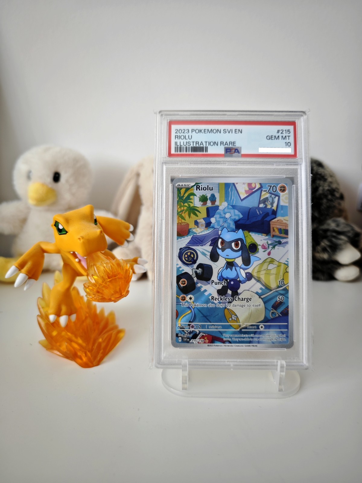 2023 POKEMON SV01:SCARLET VIOLET RIOLU 215/198 PSA 10 #215 2023 POKEMON SV01:SCARLET VIOLET RIOLU 215/198 PSA 10 #215