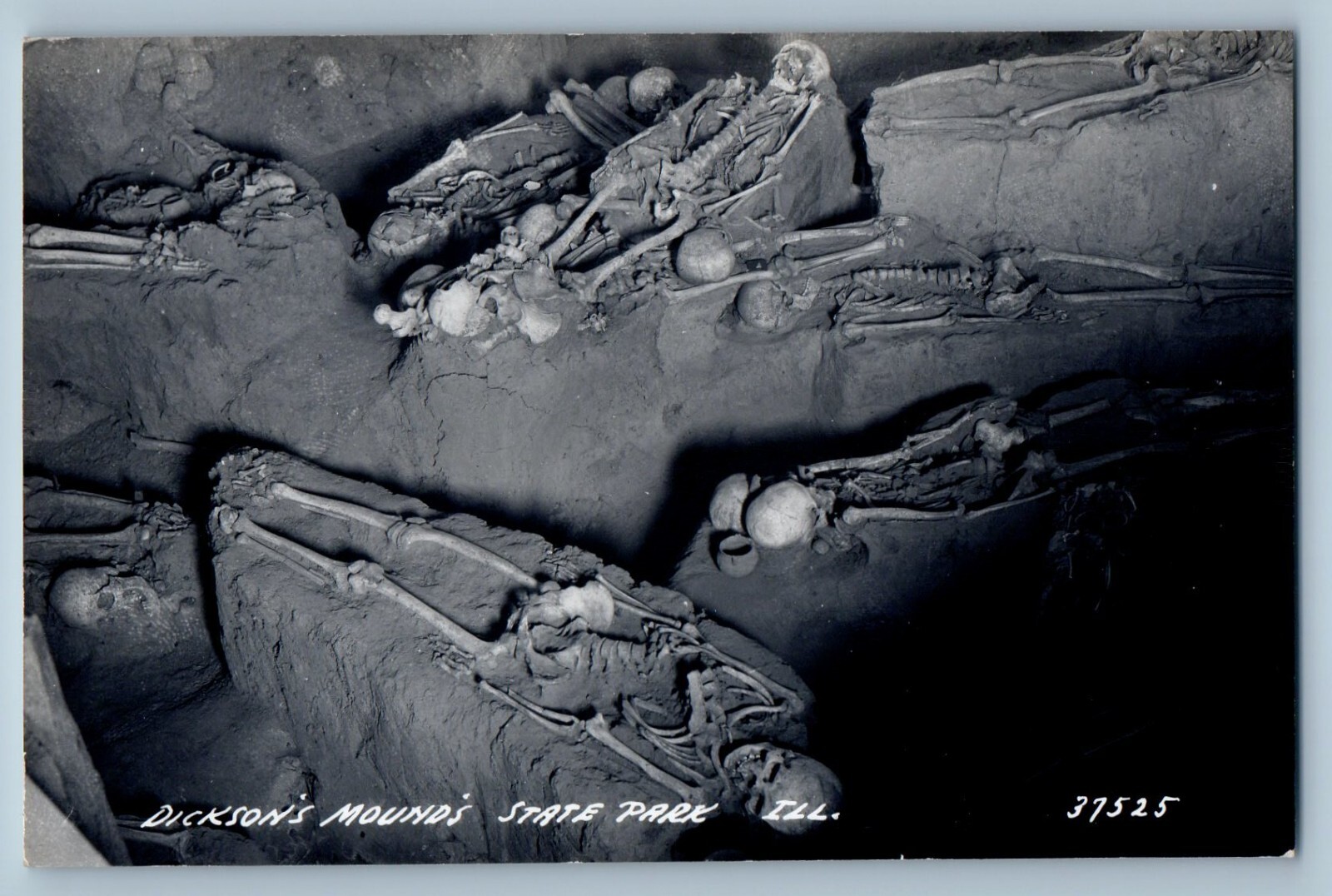 Illinois IL Postcard RPPC Photo Dickson\'s Mound\'s State Park Skeletons c1940\'s