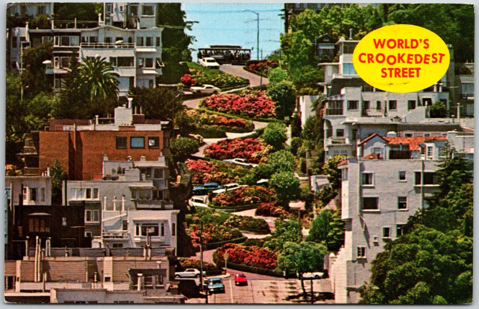 San Francisco USA Lombard Street Worlds Crookedest Street View Postcard