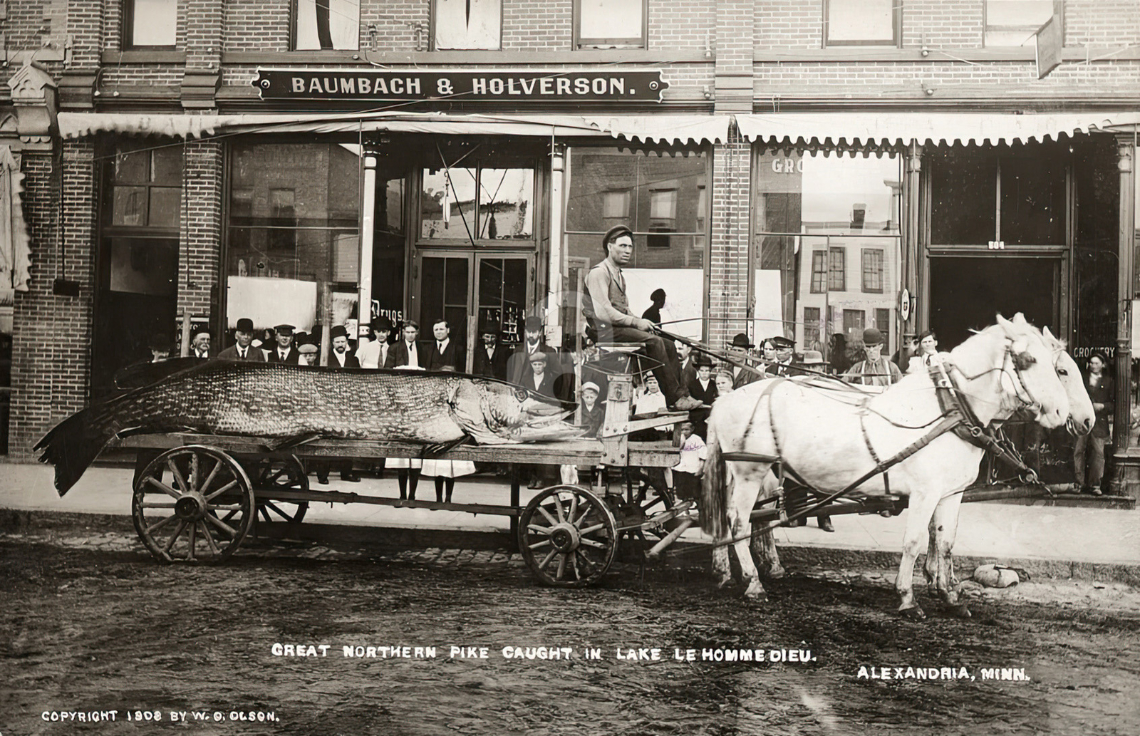 Great Northern pike Lake Le Homme Dieu Alexandria MN 1908 RPPC ostcard COPY