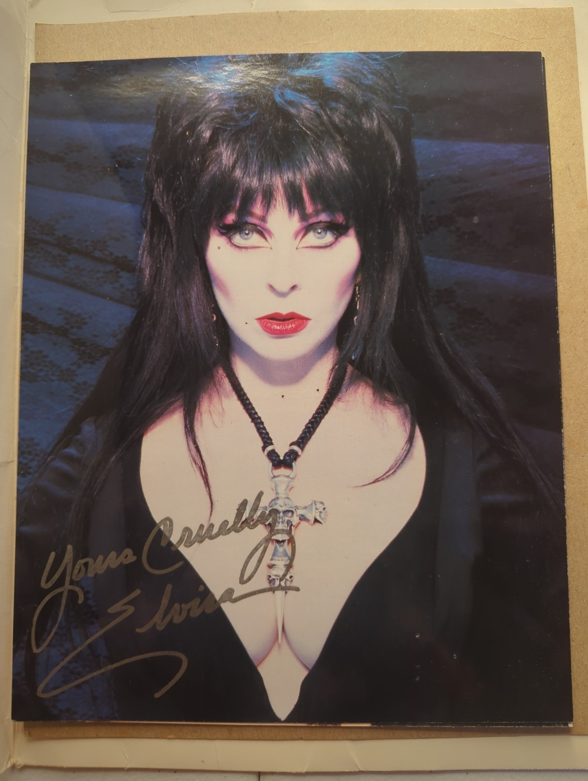 Insane Elvira Super Fan Collection - Signed Color Glossy, Newsletters, Tattoos Insane Elvira Super Fan Collection - Signed Color Glossy, Newsletters, Tattoos