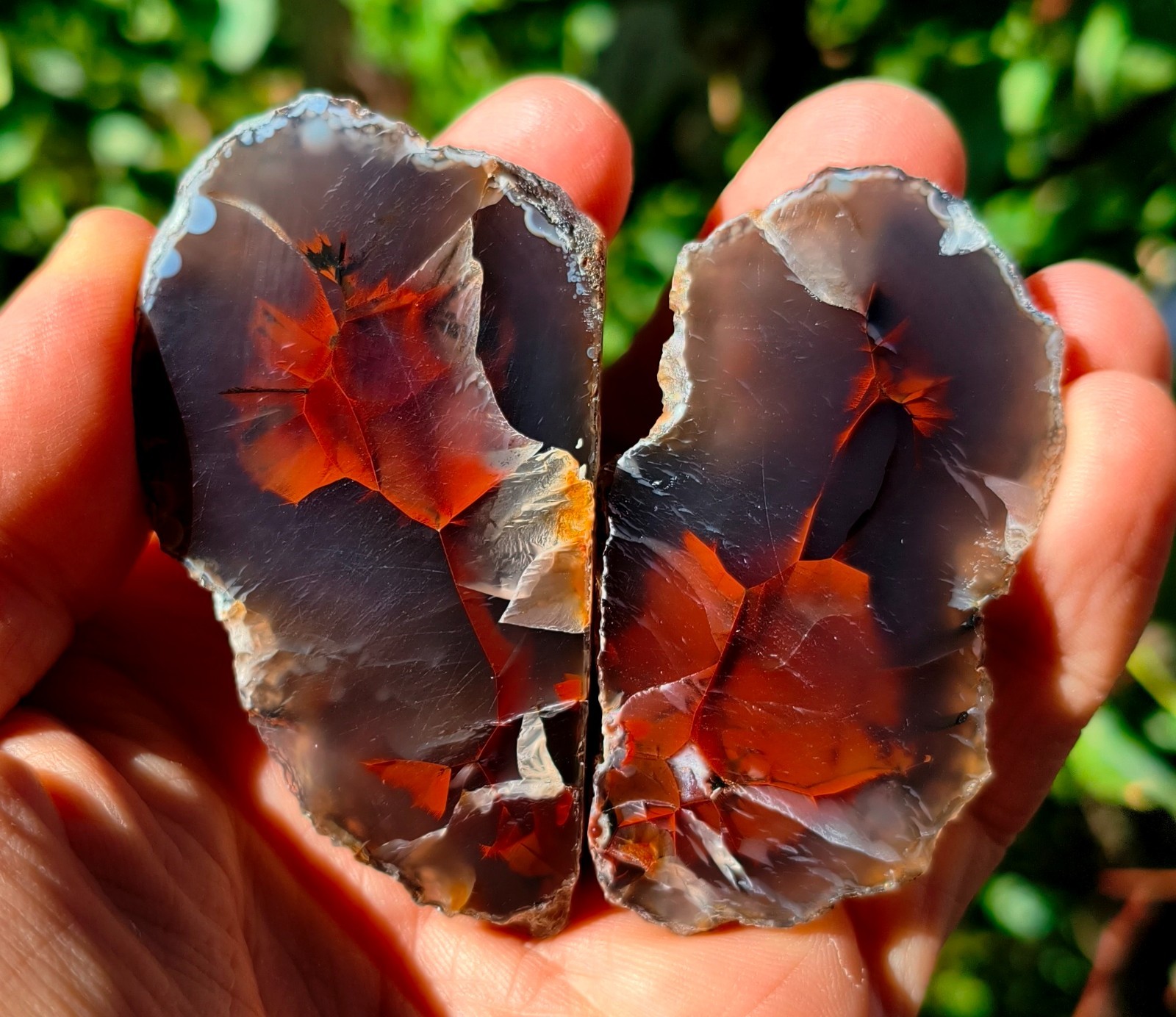 Mirror Polished Extremely Rare Turkish Red Fox Agate Pair Uv Fluorescent Mirror Polished Extremely Rare Turkish Red Fox Agate Pair Uv Fluorescent