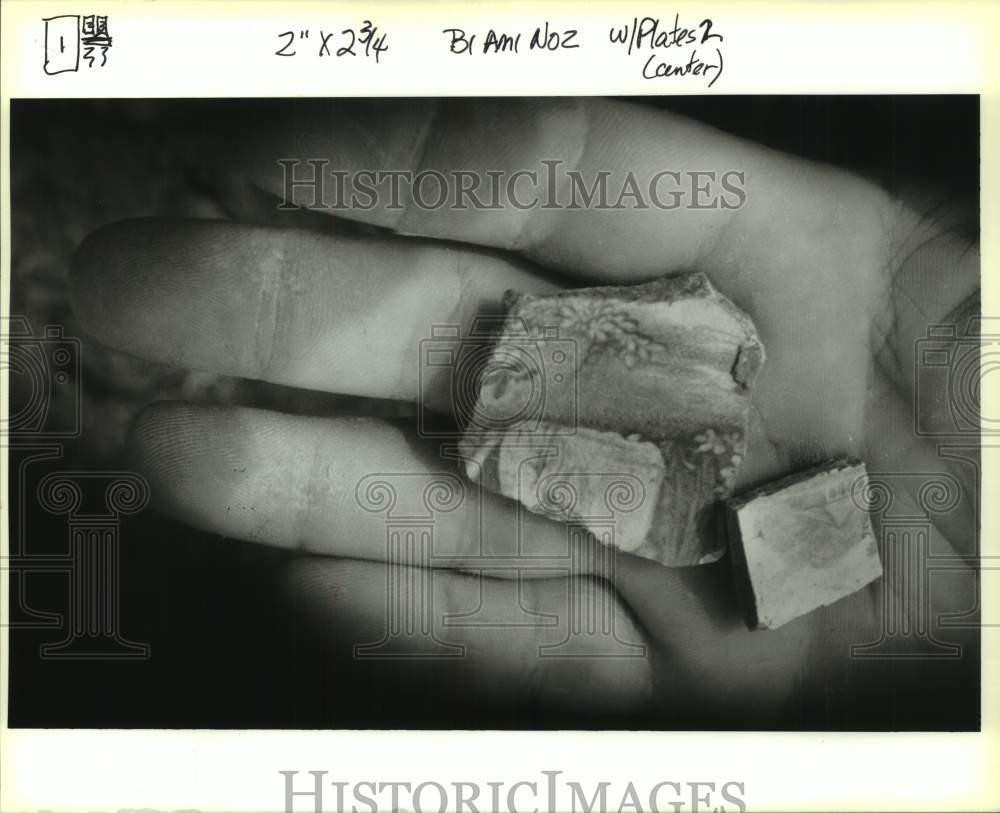 1993 Press Photo Piseros Plantation - Artifact Found at Site, Louisiana