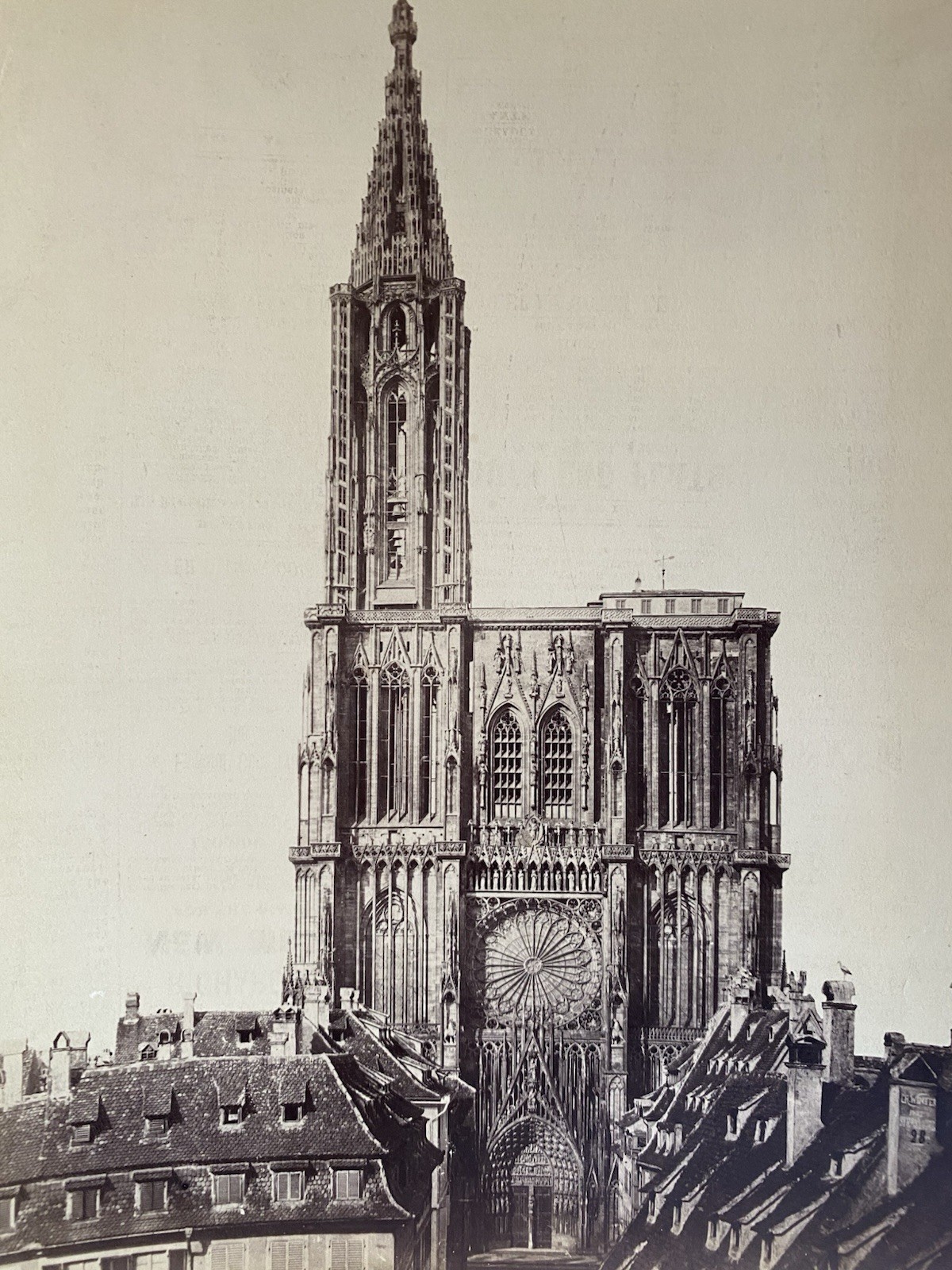1880s Albumen Photo Strasbourg Cathedral France Gothic Architecture Original 1880s Albumen Photo Strasbourg Cathedral France Gothic Architecture Original