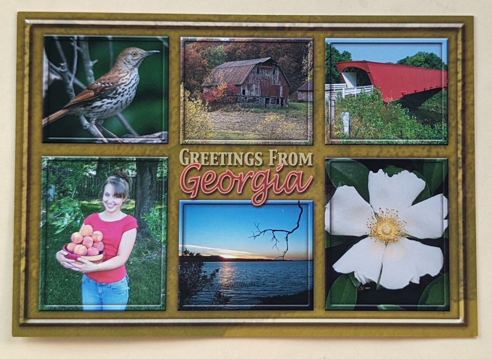 Postcard GA: Greetings from Scenic Georgia 